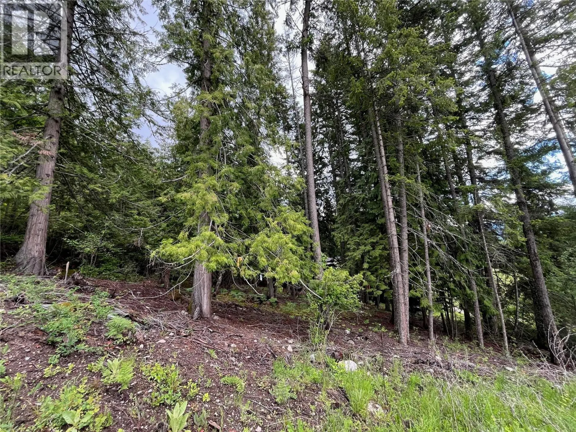 Property at COLUMBIA DRIVE LOT# 138, Anglemont, BC