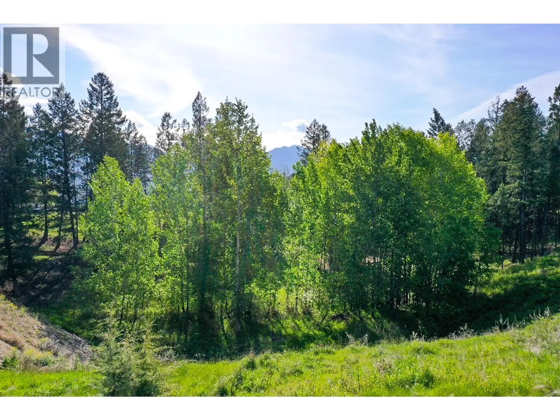 Property at 2161 PINETREE PLACE, Invermere, BC