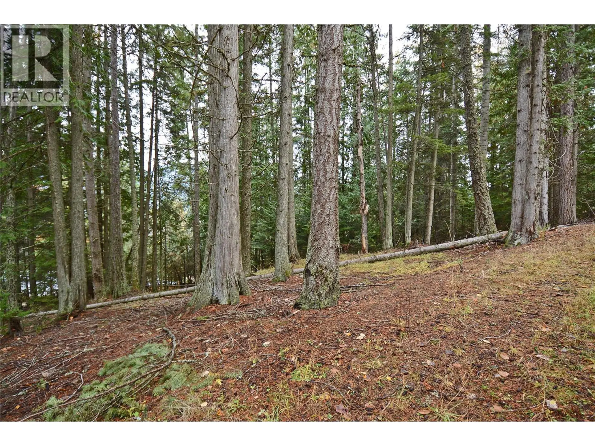 Property at LOT 1 BEDFORD ROAD, Nelson, BC