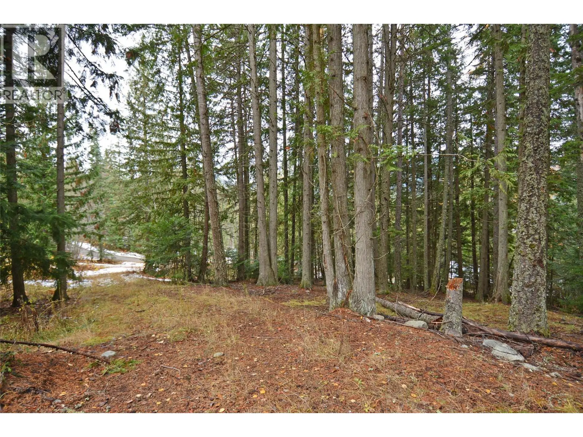Property at LOT 1 BEDFORD ROAD, Nelson, BC