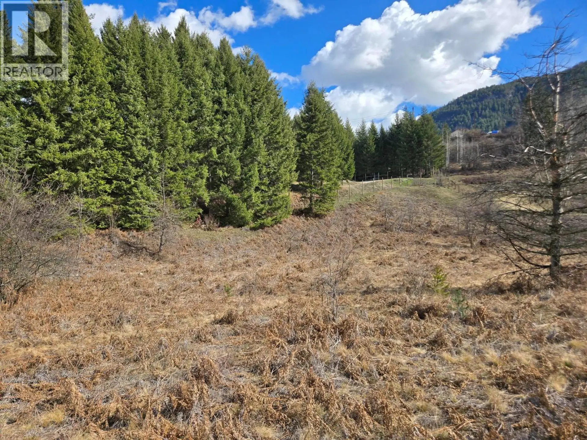Property at LOT 4 BRIDGEVIEW ROAD, Castlegar, BC