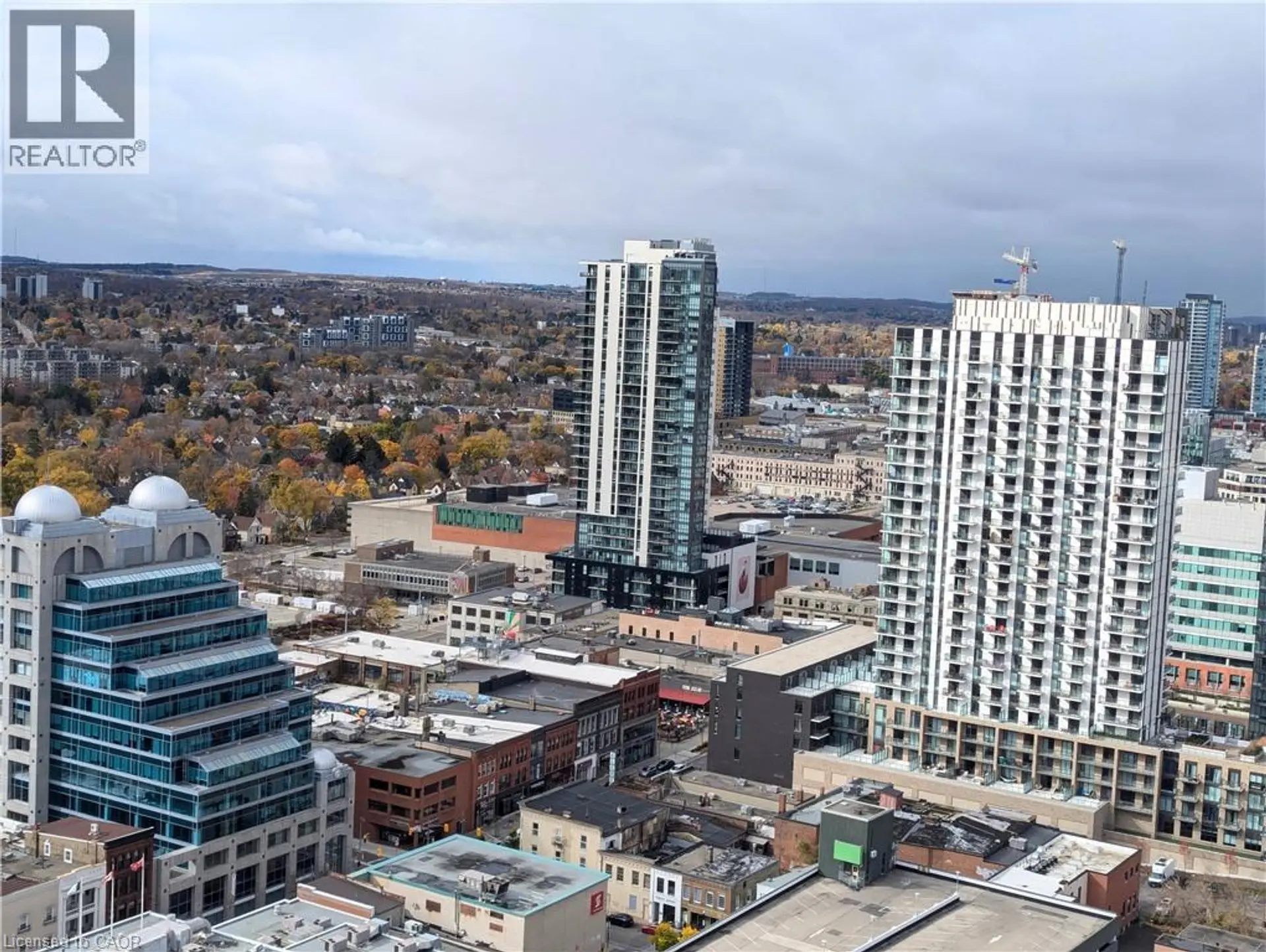 #2710 60 FREDERICK STREET - Image 9