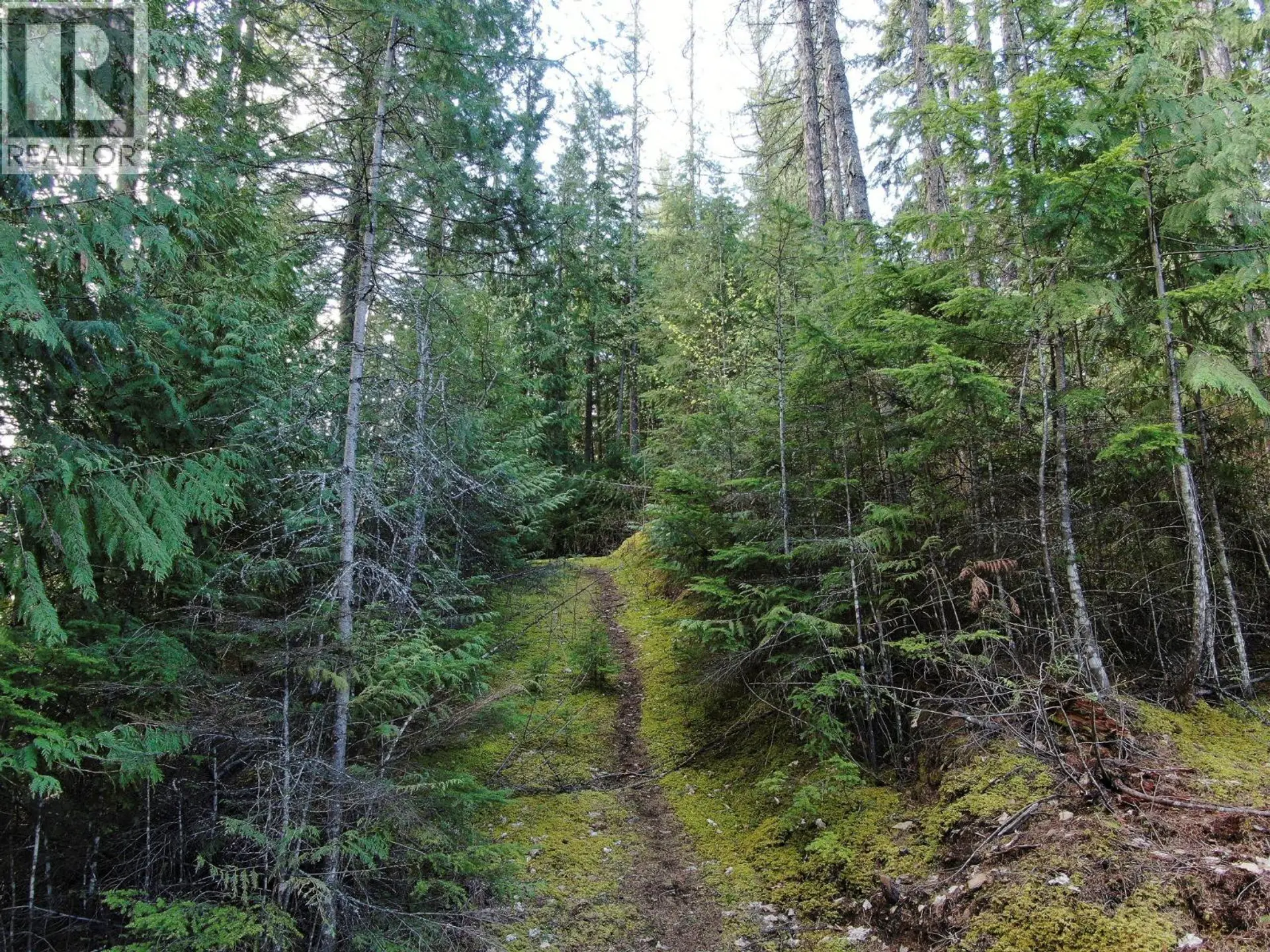 Property at BALFOUR AVENUE LOT# LOT 8, Kaslo, BC