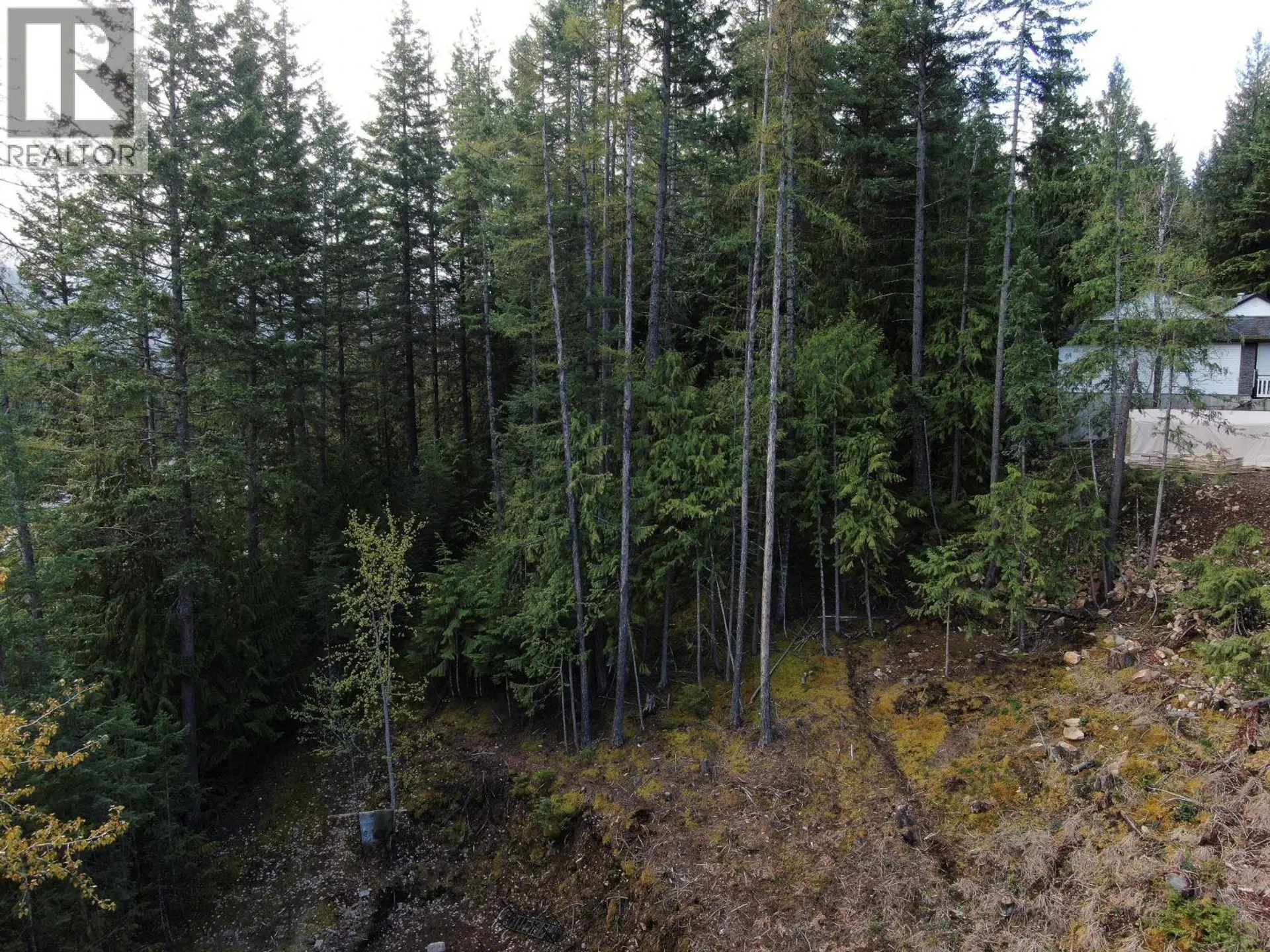 Property at BALFOUR AVENUE LOT# LOT 8, Kaslo, BC