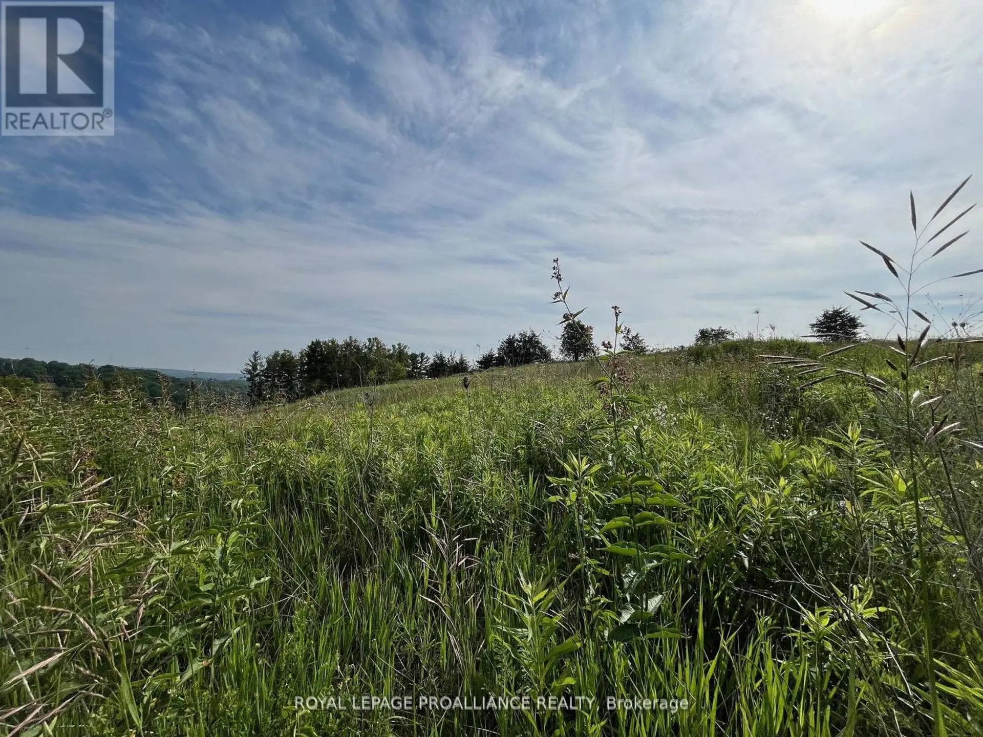 LOT 24 MCCARTY DRIVE - Image 5
