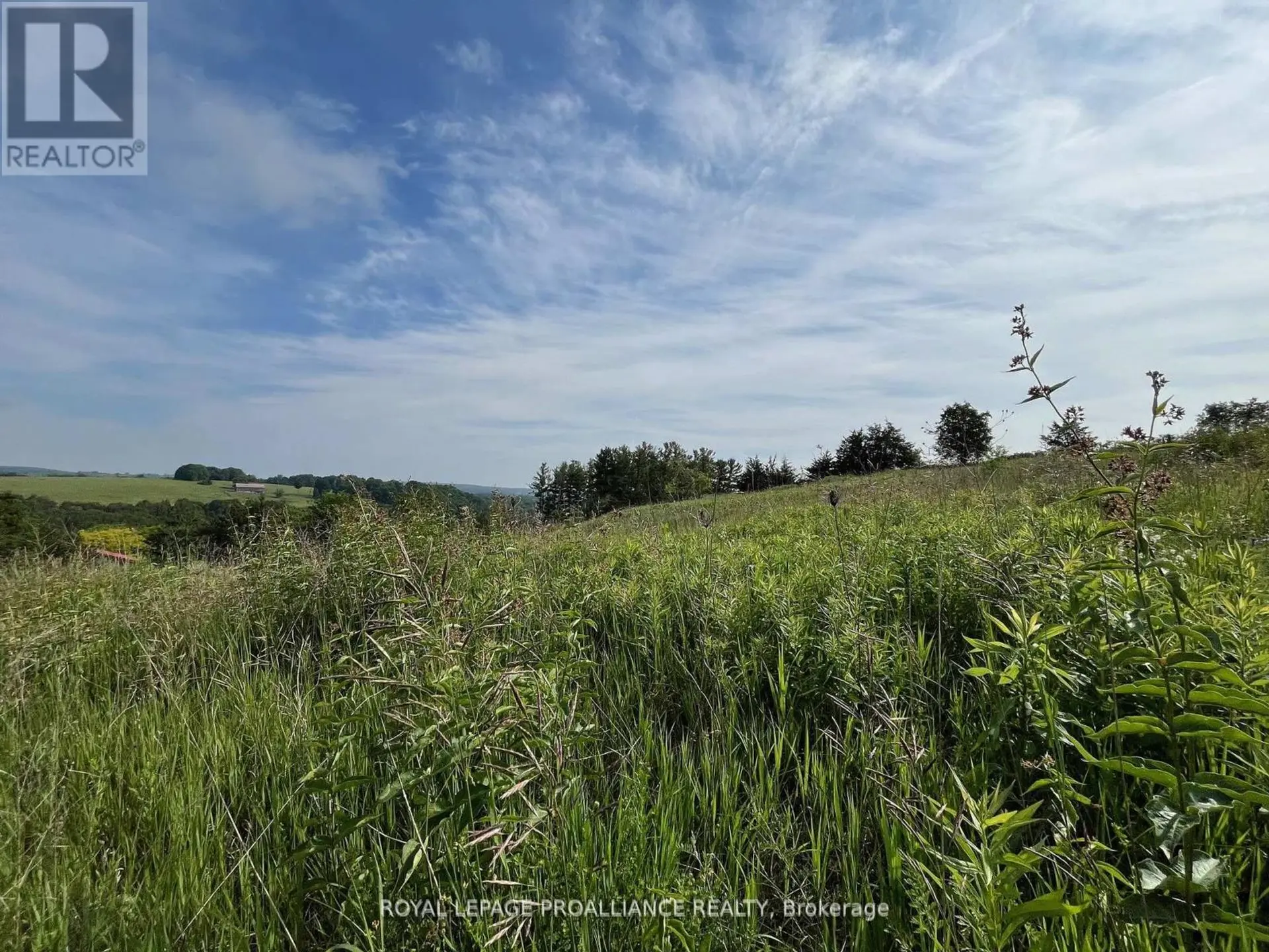 LOT 24 MCCARTY DRIVE - Image 6