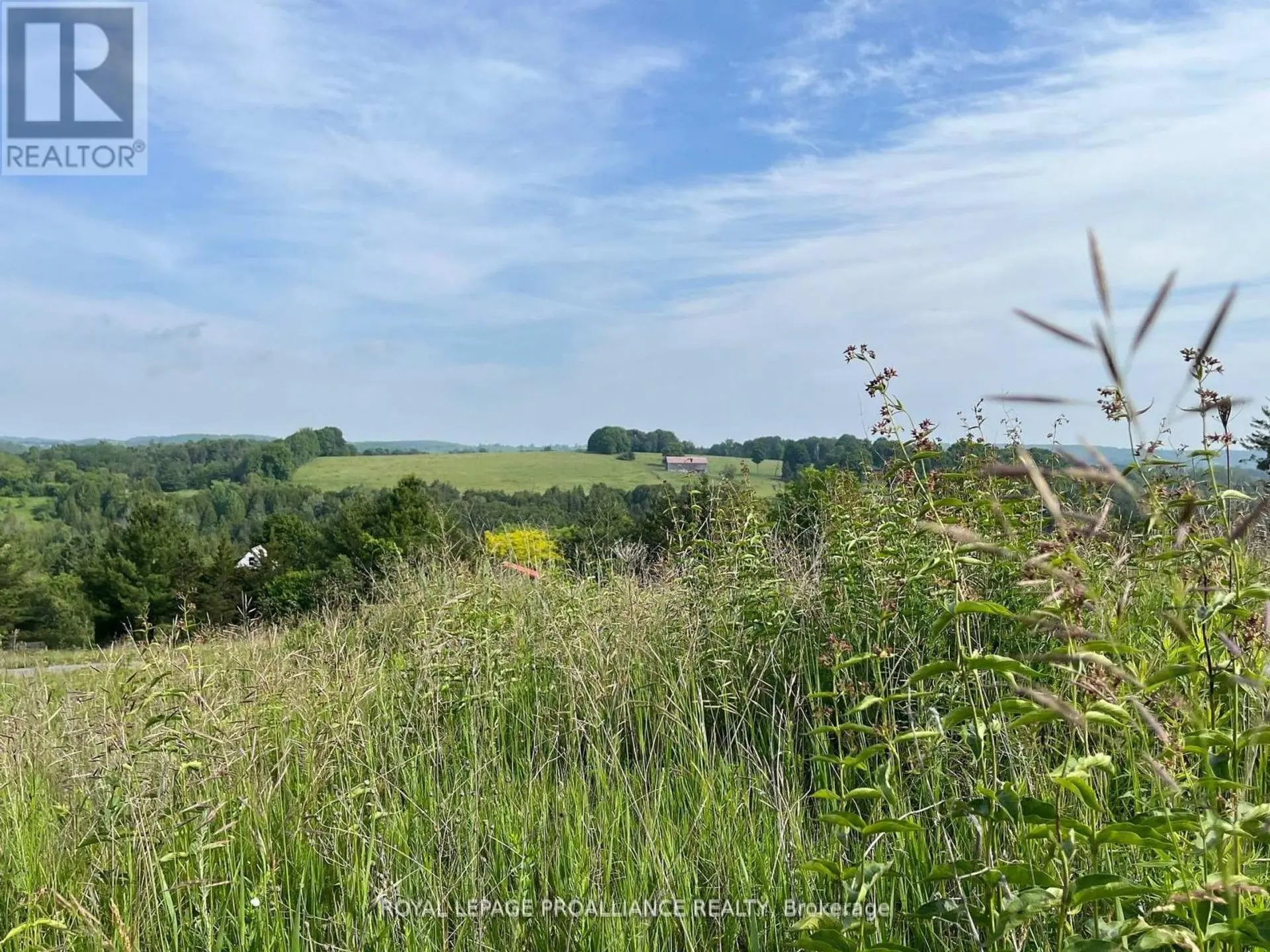 LOT 24 MCCARTY DRIVE - Image 8