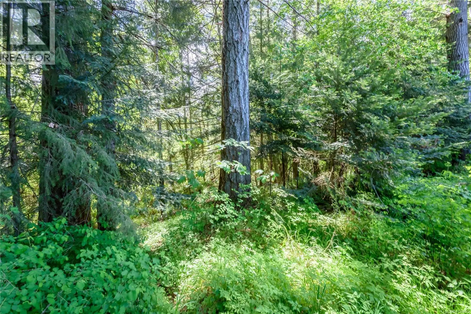 Property at 7478 YAKE RD, Fanny Bay, BC