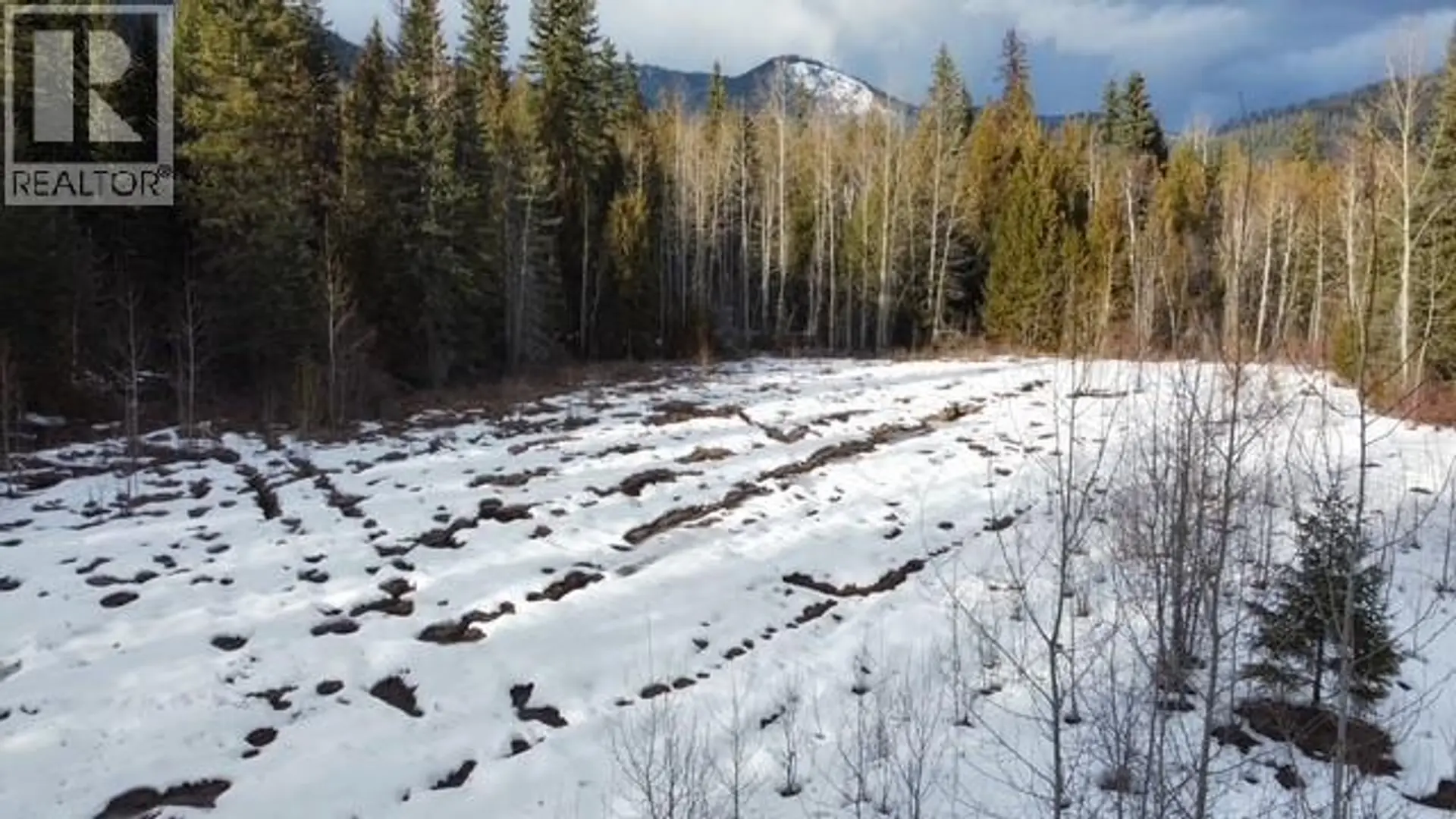 Property at 801 BOBBIE BURNS ROAD, Lumby, BC