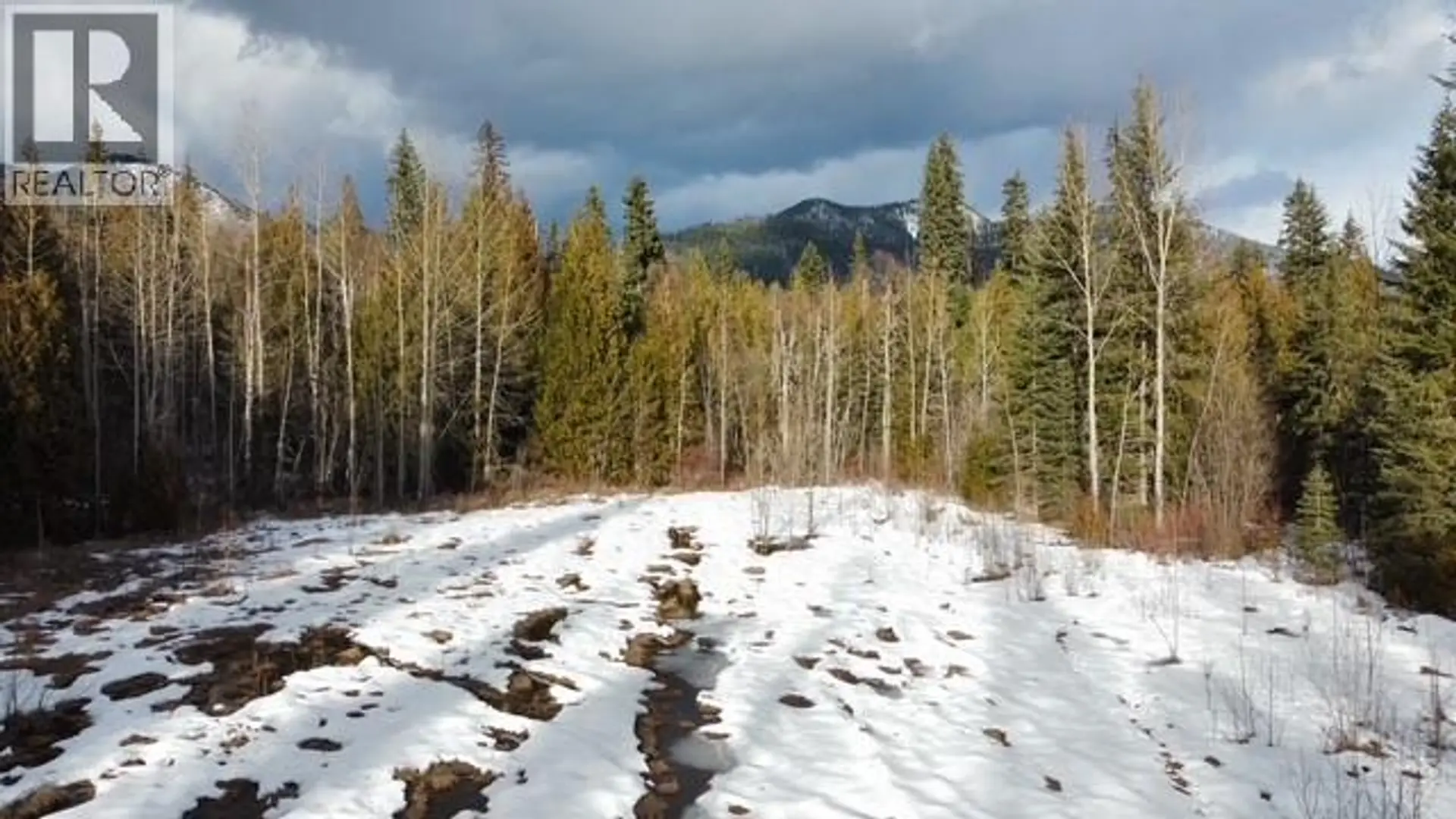 Property at 801 BOBBIE BURNS ROAD, Lumby, BC