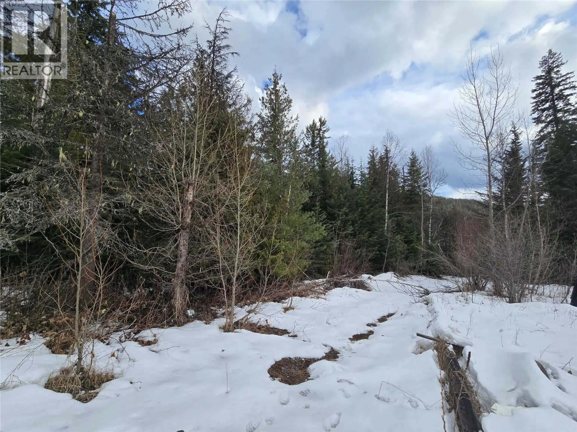 Property at 801 BOBBIE BURNS ROAD, Lumby, BC
