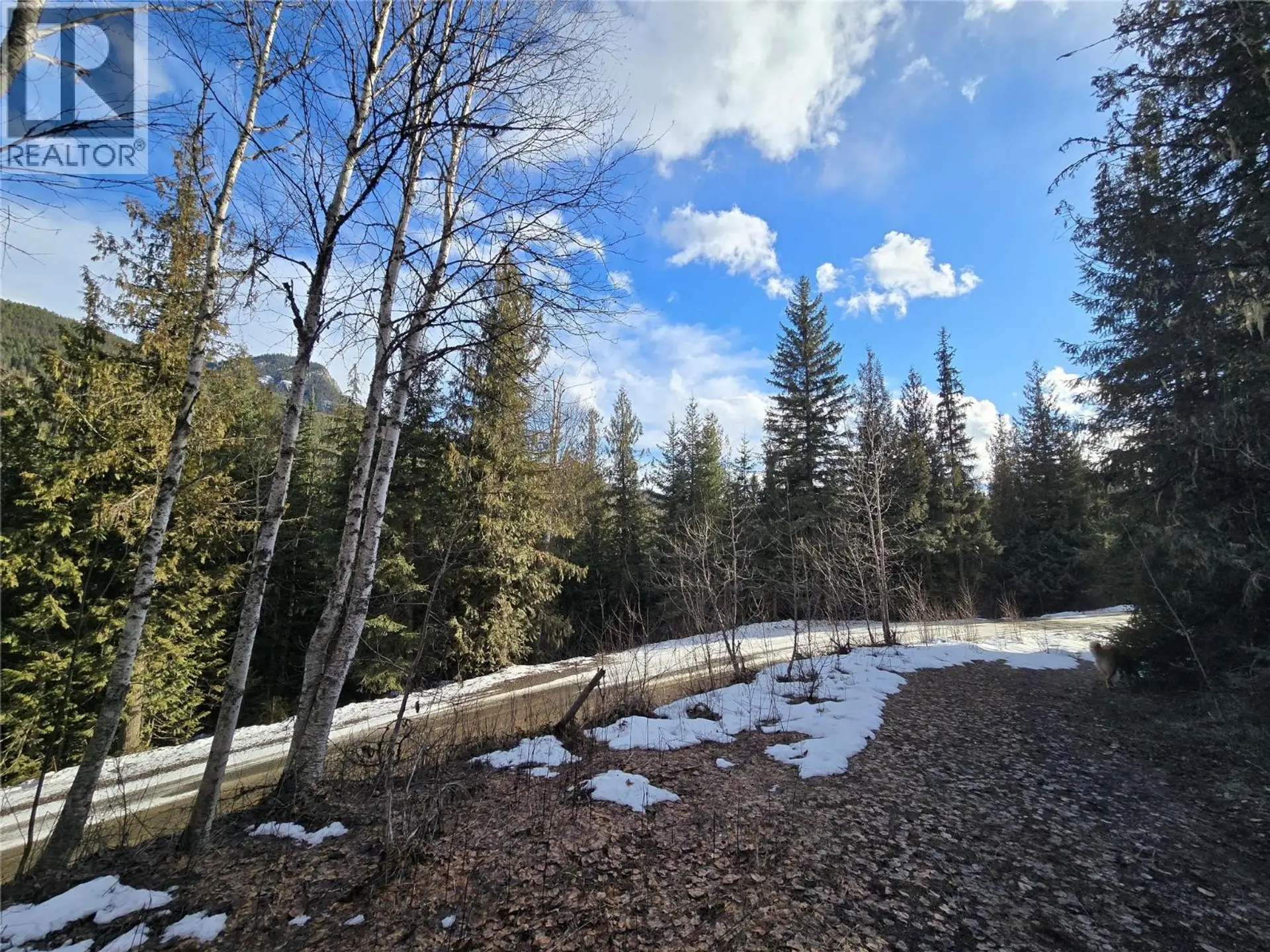 Property at 801 BOBBIE BURNS ROAD, Lumby, BC