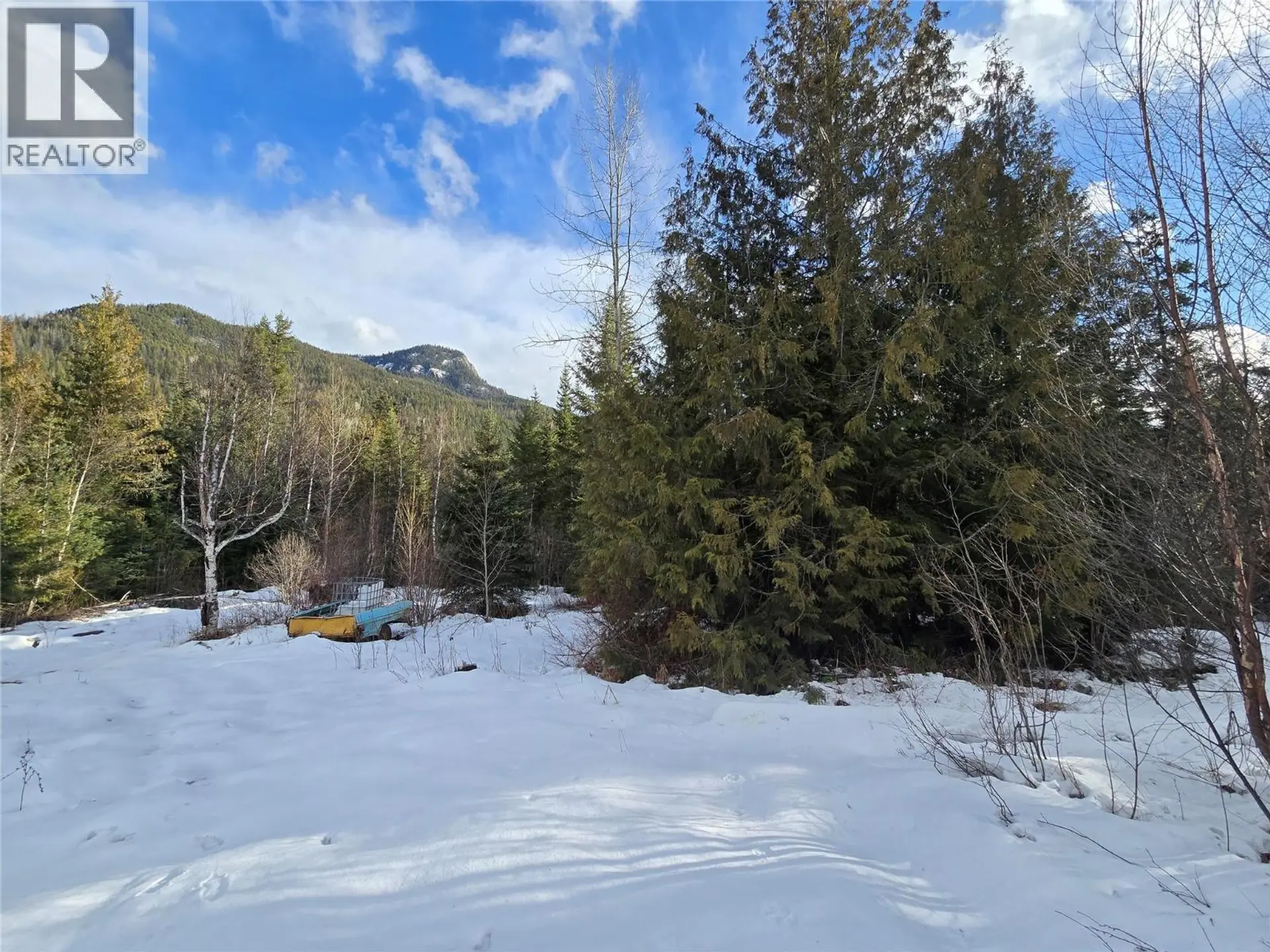 Property at 801 BOBBIE BURNS ROAD, Lumby, BC