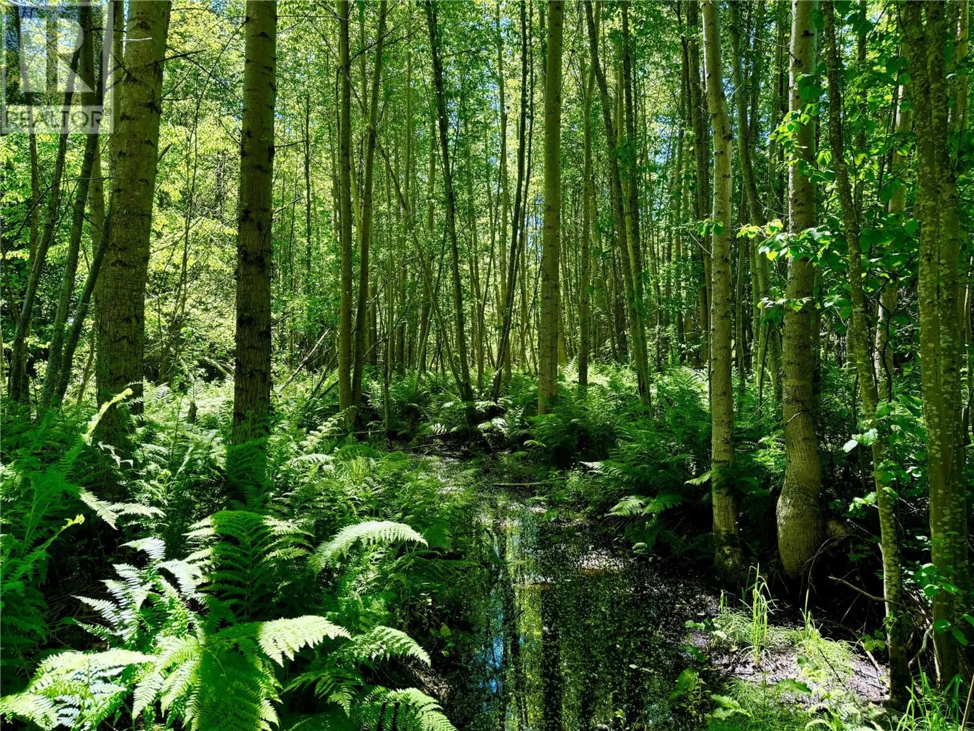 Property at 2700 14TH AVENUE, Castlegar, BC