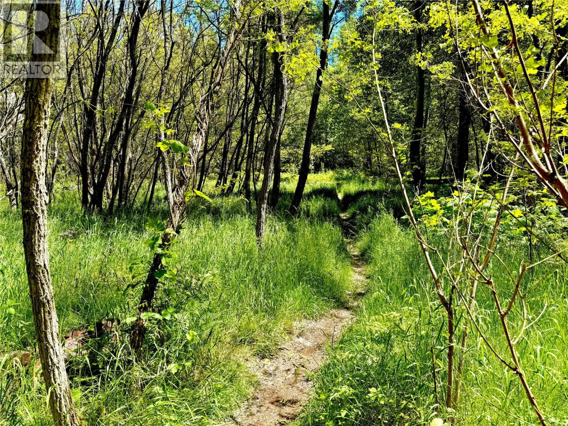 Property at 2700 14TH AVENUE, Castlegar, BC