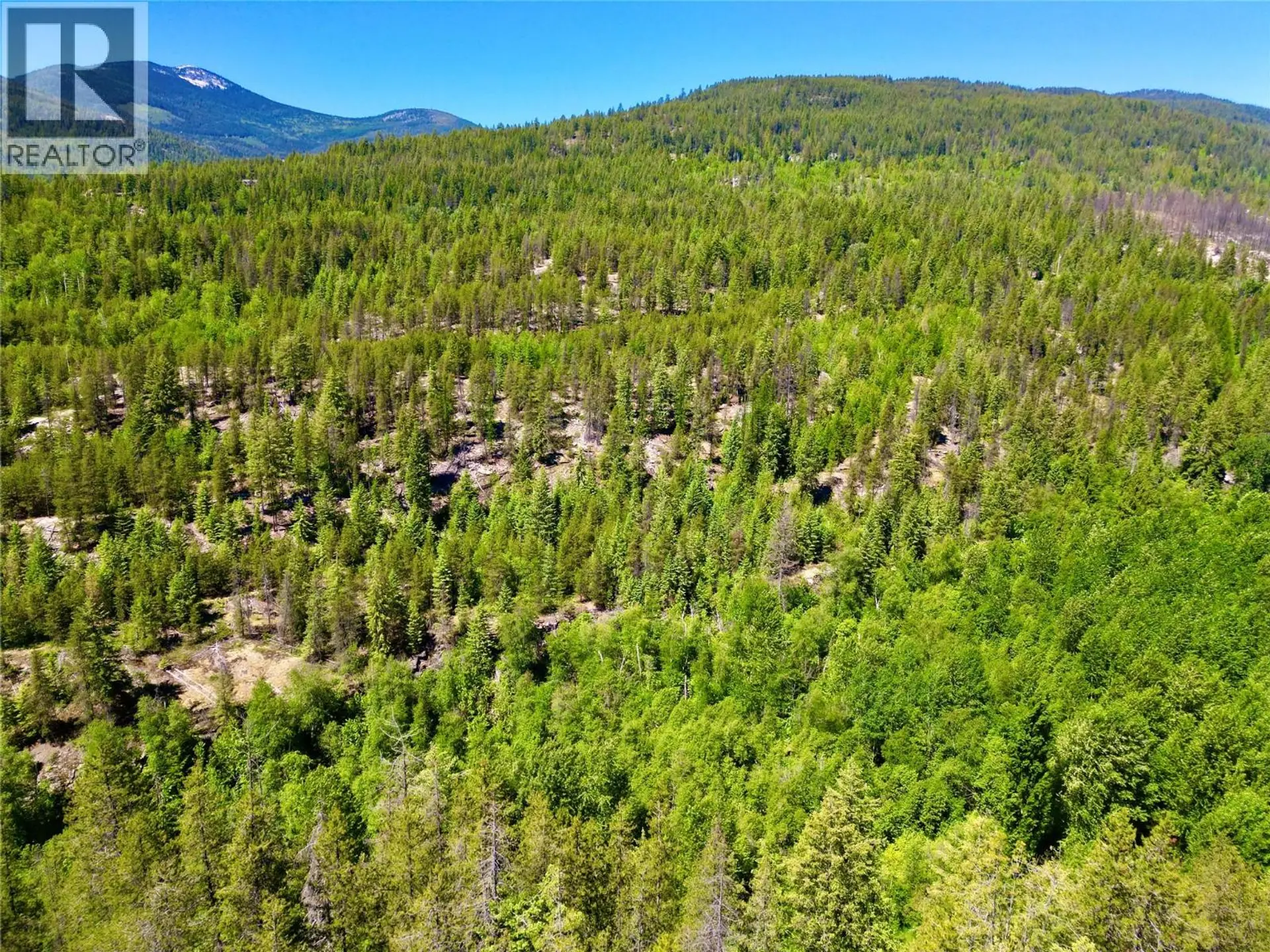 Property at 2700 14TH AVENUE, Castlegar, BC