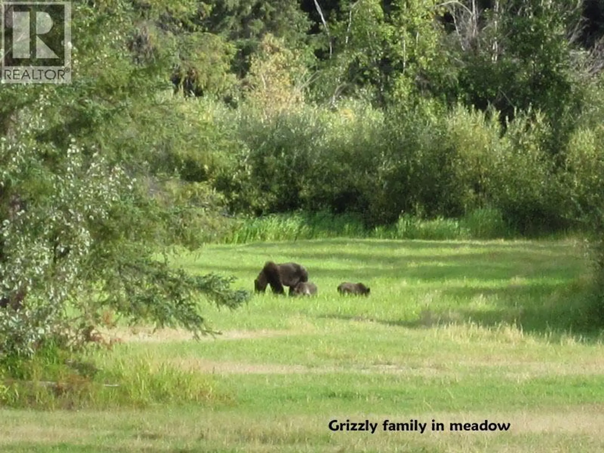 Property at 9000 TOTE ROAD, Hagensborg, BC