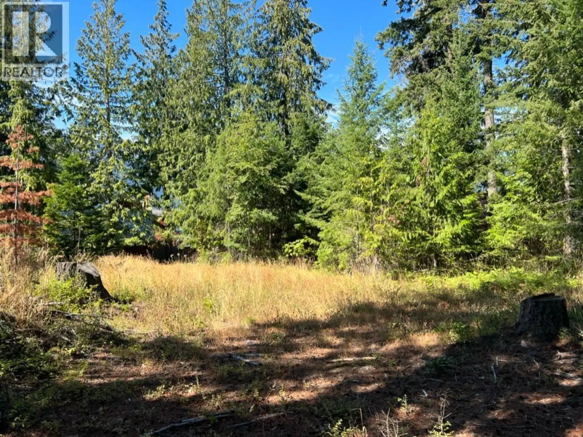 Property at 13525 LAFRANCE CREEK ROAD, Boswell, BC
