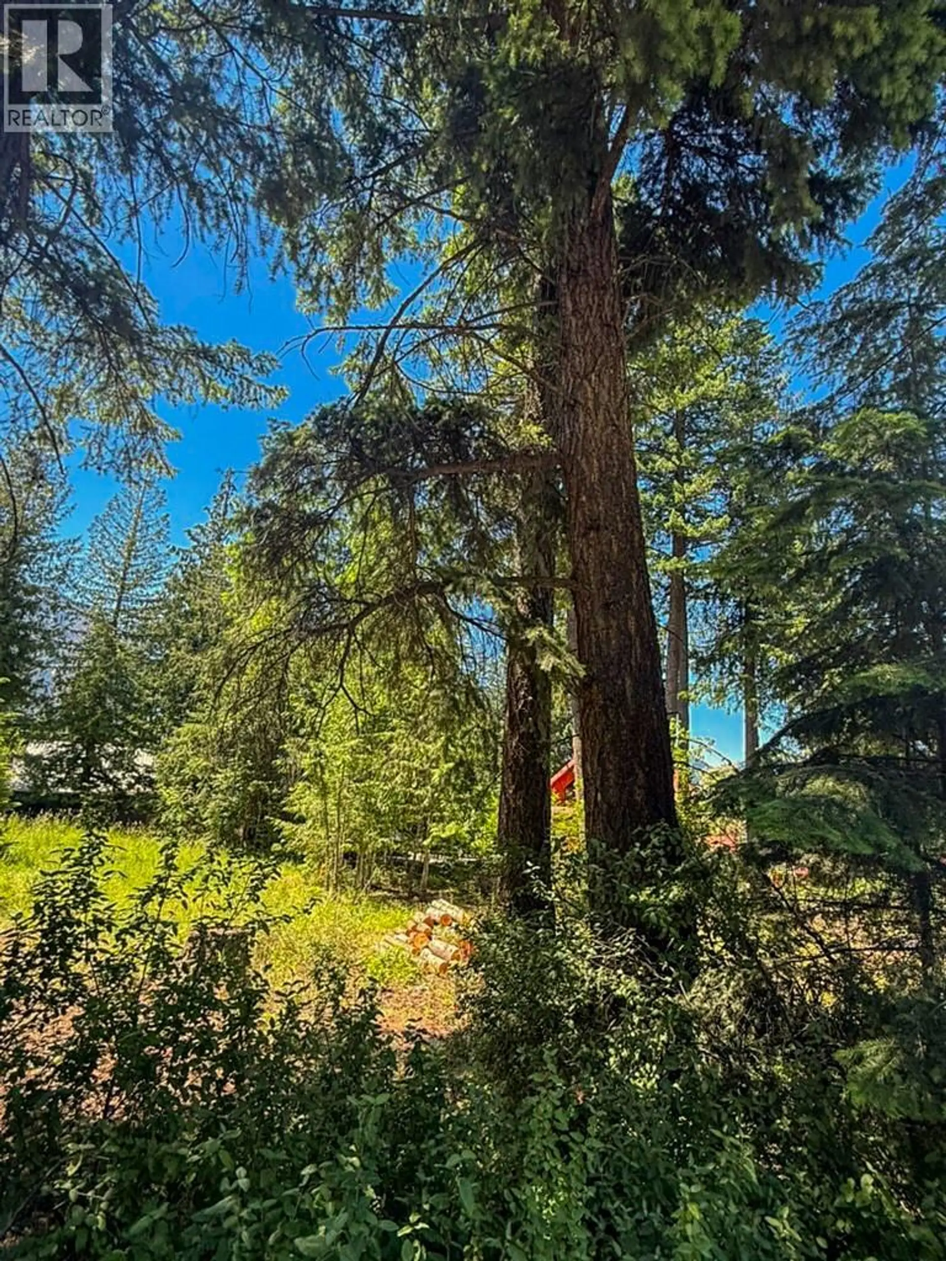 Property at 13525 LAFRANCE CREEK ROAD, Boswell, BC