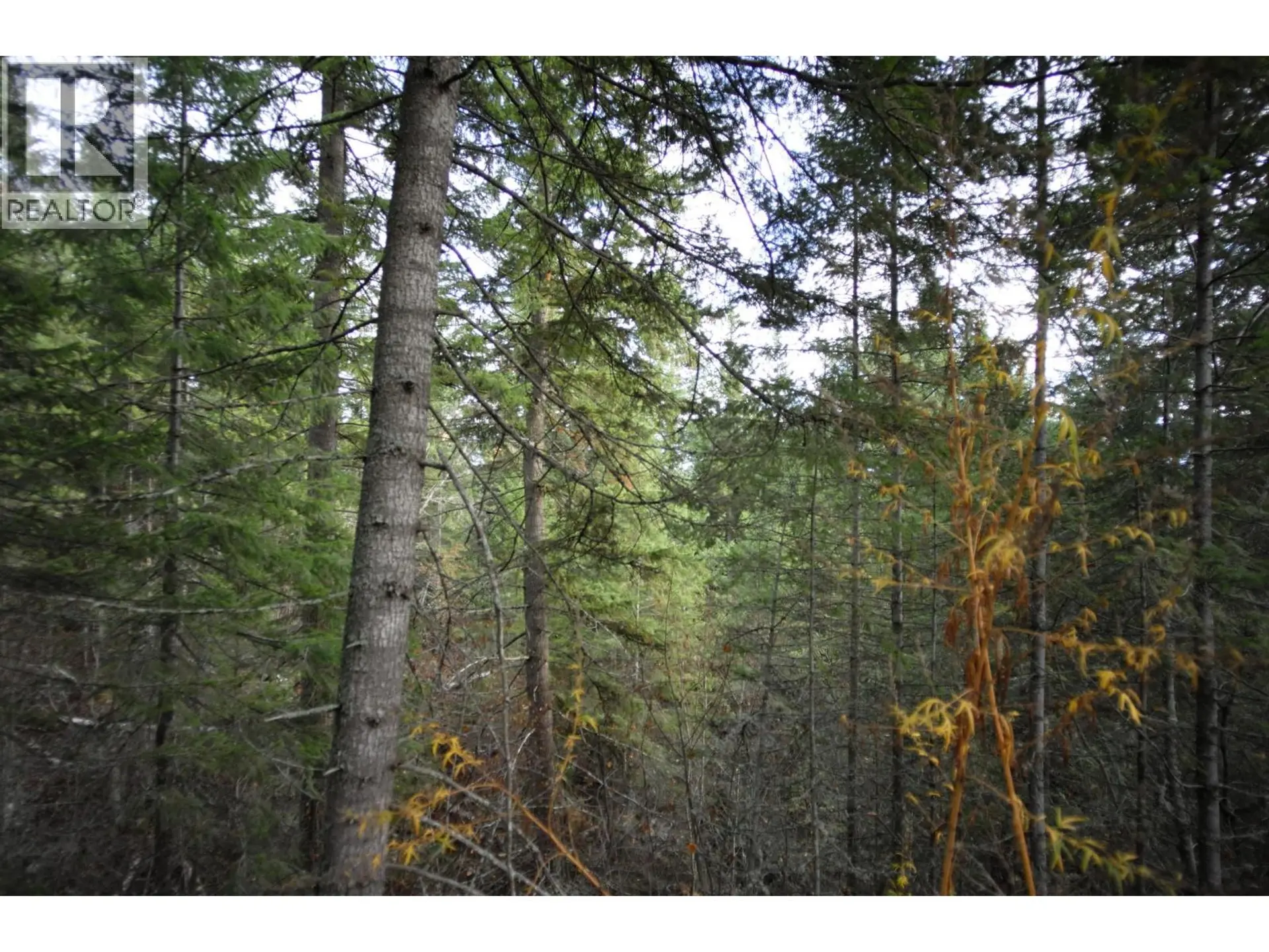 Property at 408 GRANDVIEW BENCH ROAD, Grindrod, BC