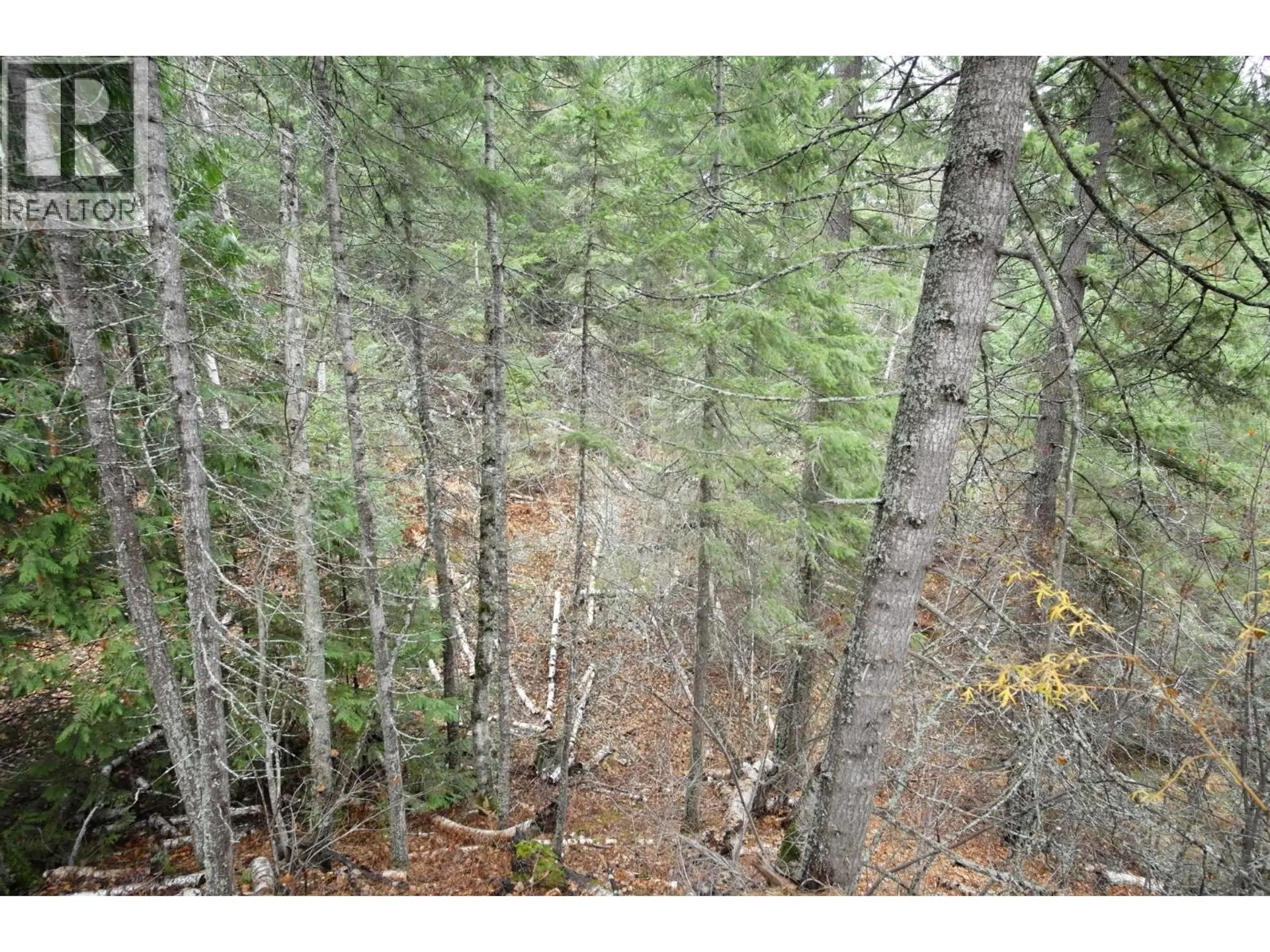 Property at 408 GRANDVIEW BENCH ROAD, Grindrod, BC