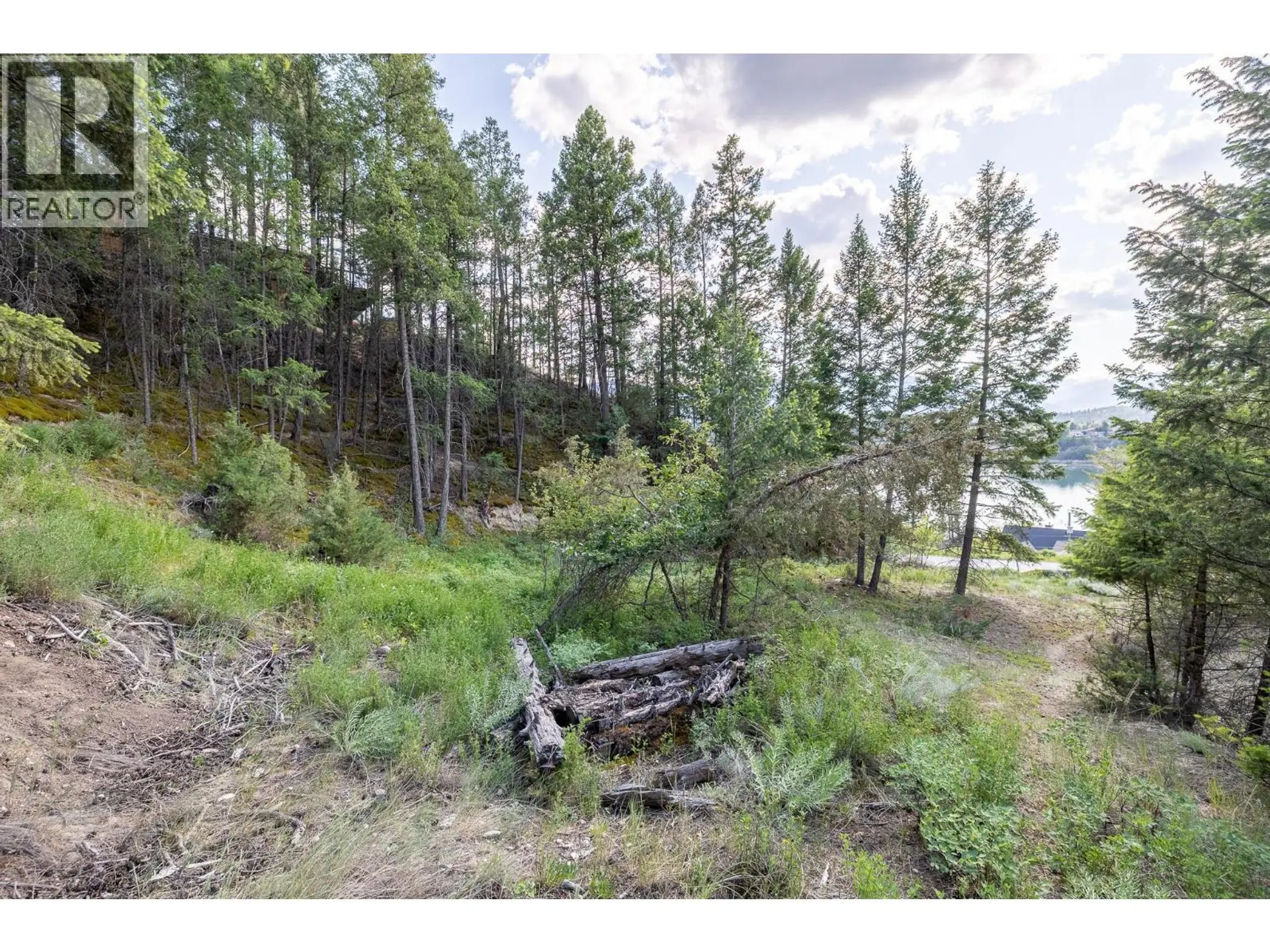 Property at LOT 46 UPPER LAKEVIEW ROAD, Invermere, BC