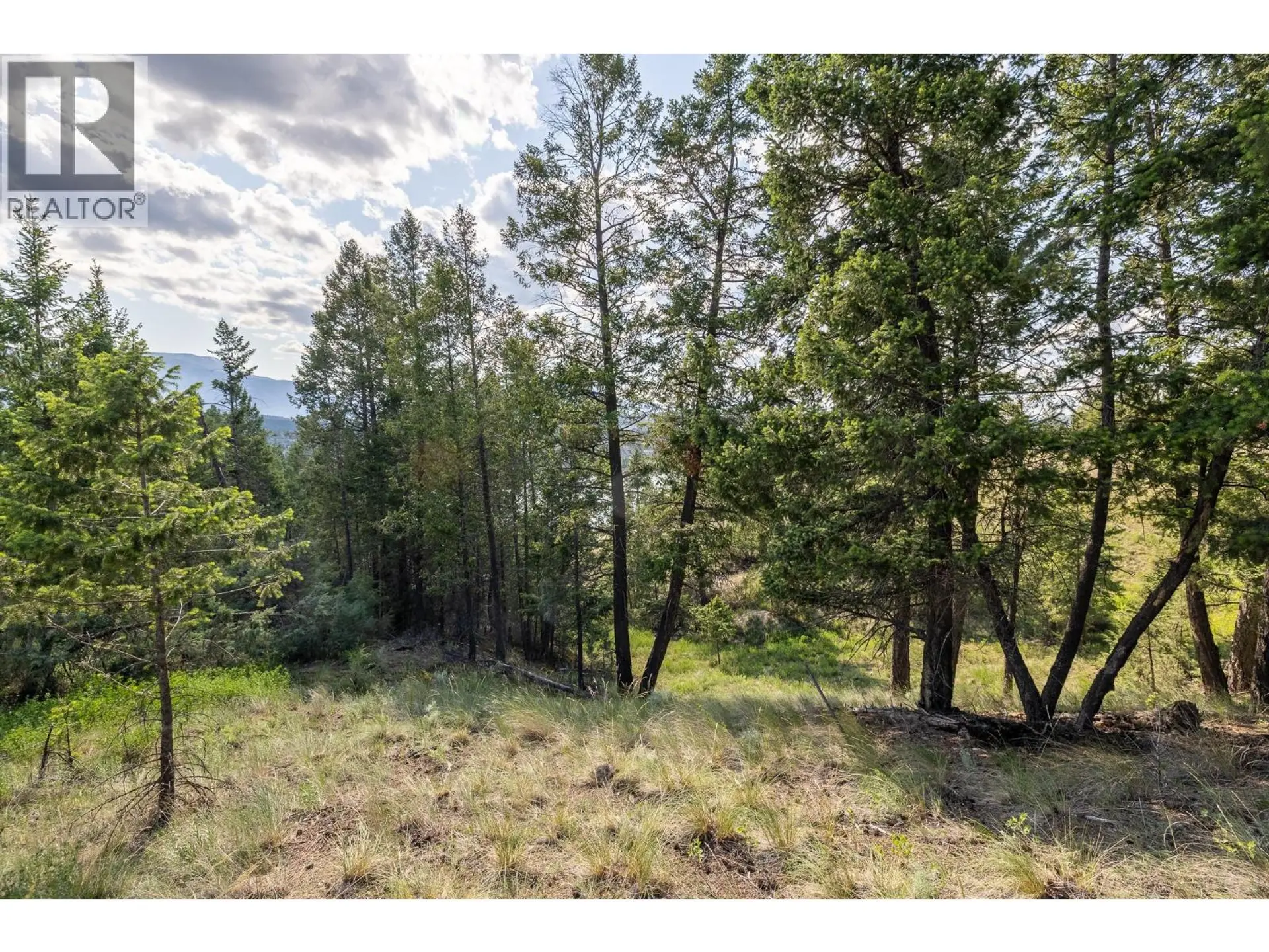 Property at LOT 46 UPPER LAKEVIEW ROAD, Invermere, BC