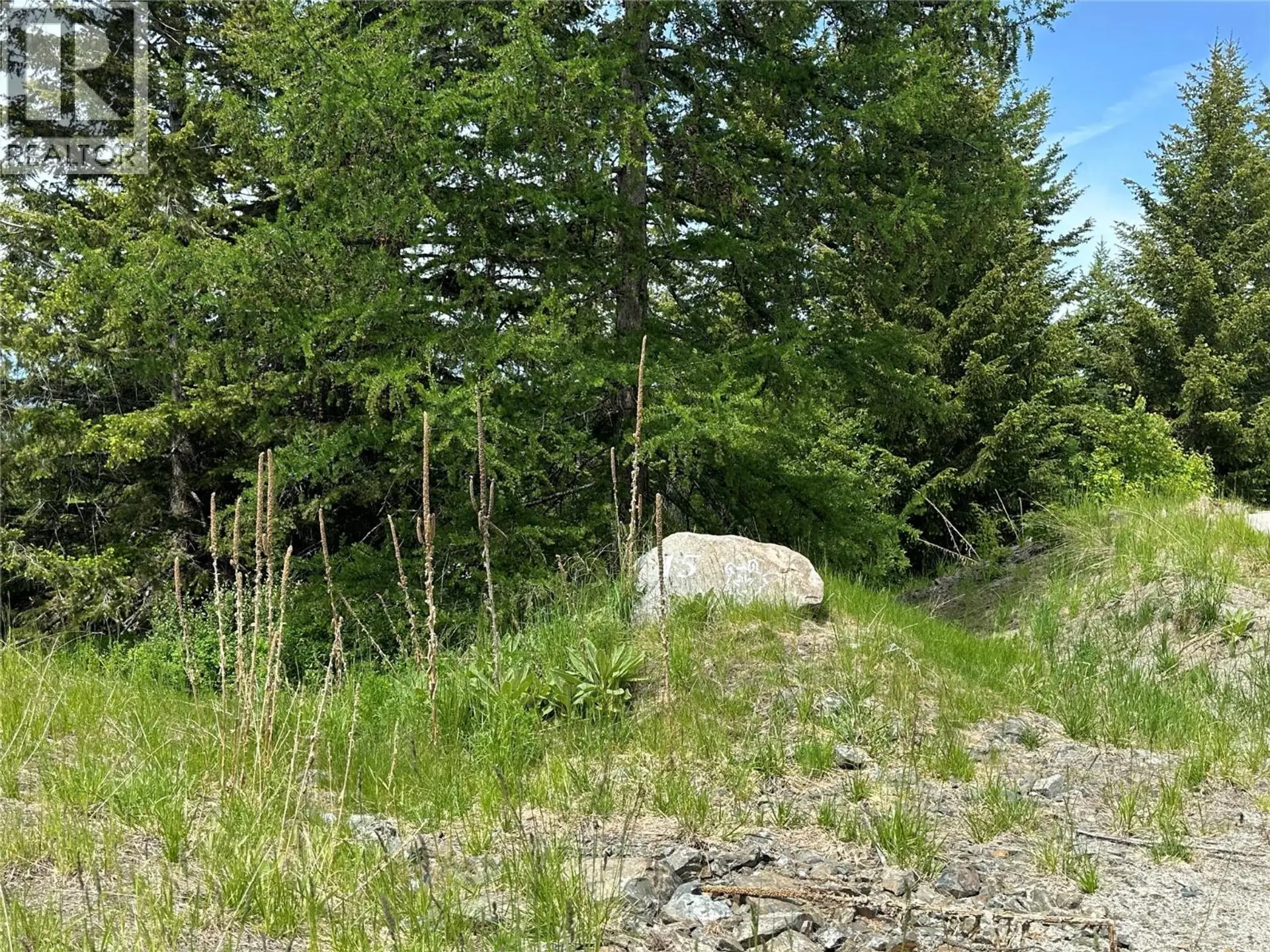 Property at 1333 TIMBERWOLF TRAIL, Bridesville, BC