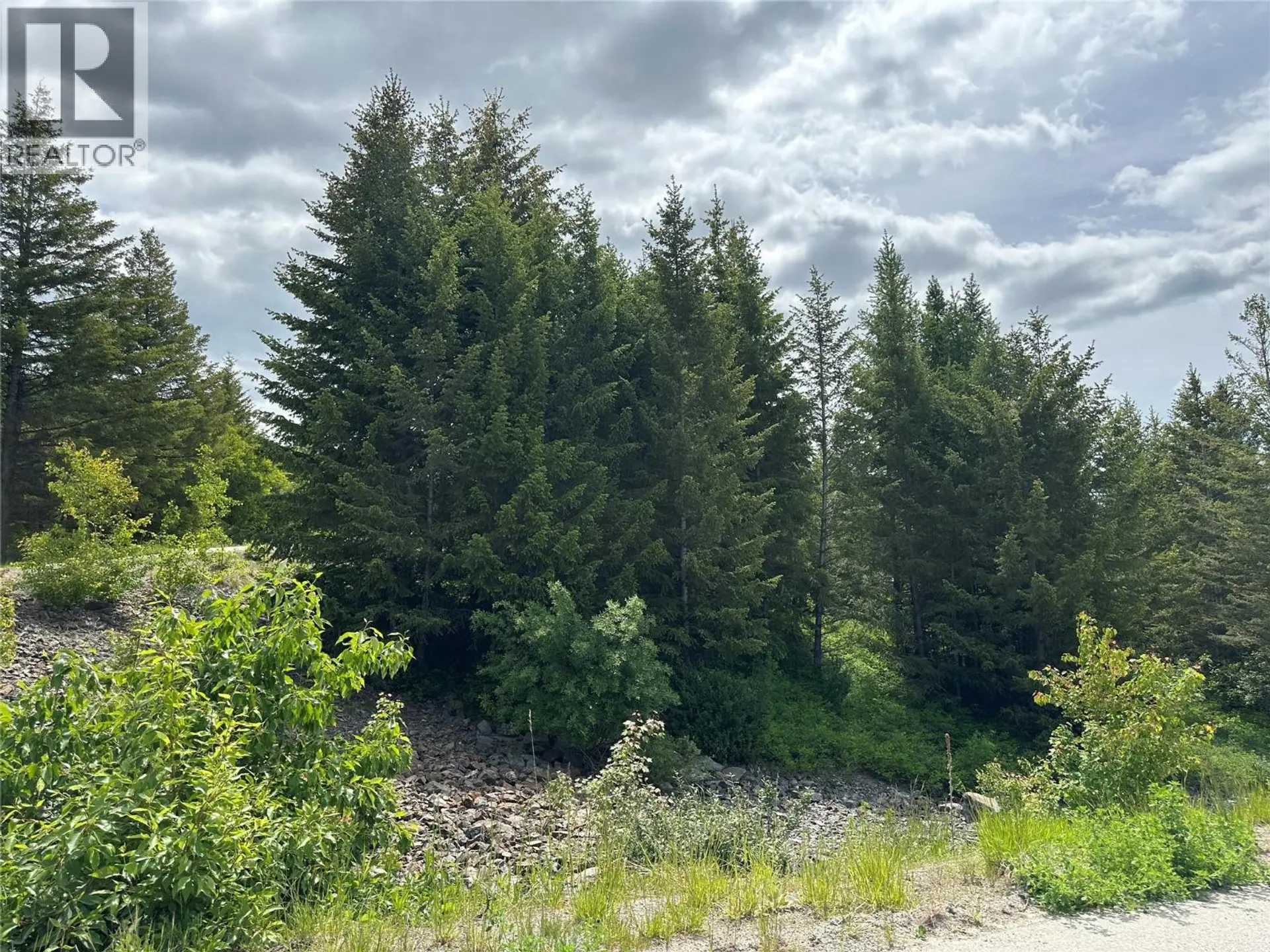 Property at 1333 TIMBERWOLF TRAIL, Bridesville, BC