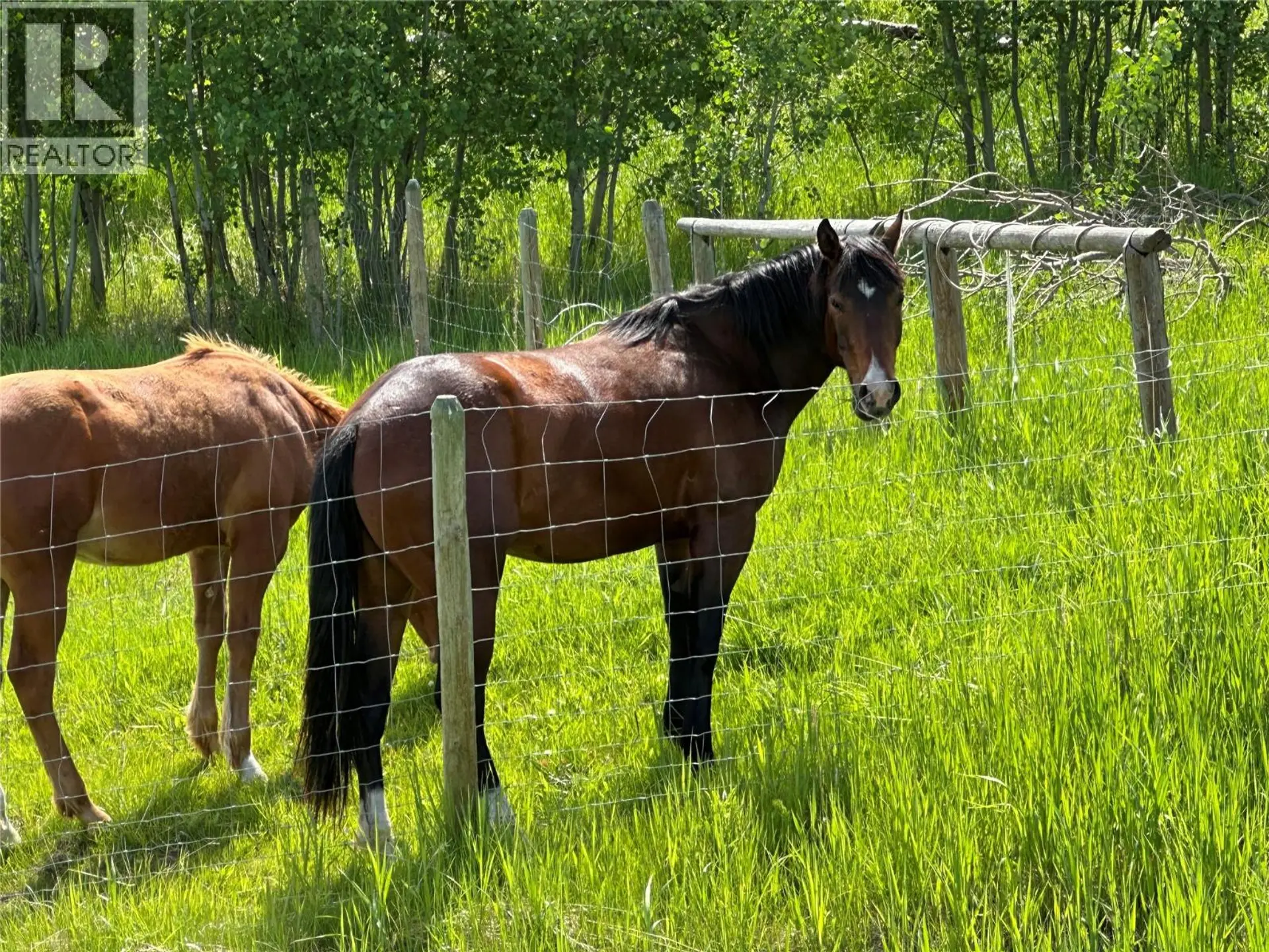 Property at 1333 TIMBERWOLF TRAIL, Bridesville, BC