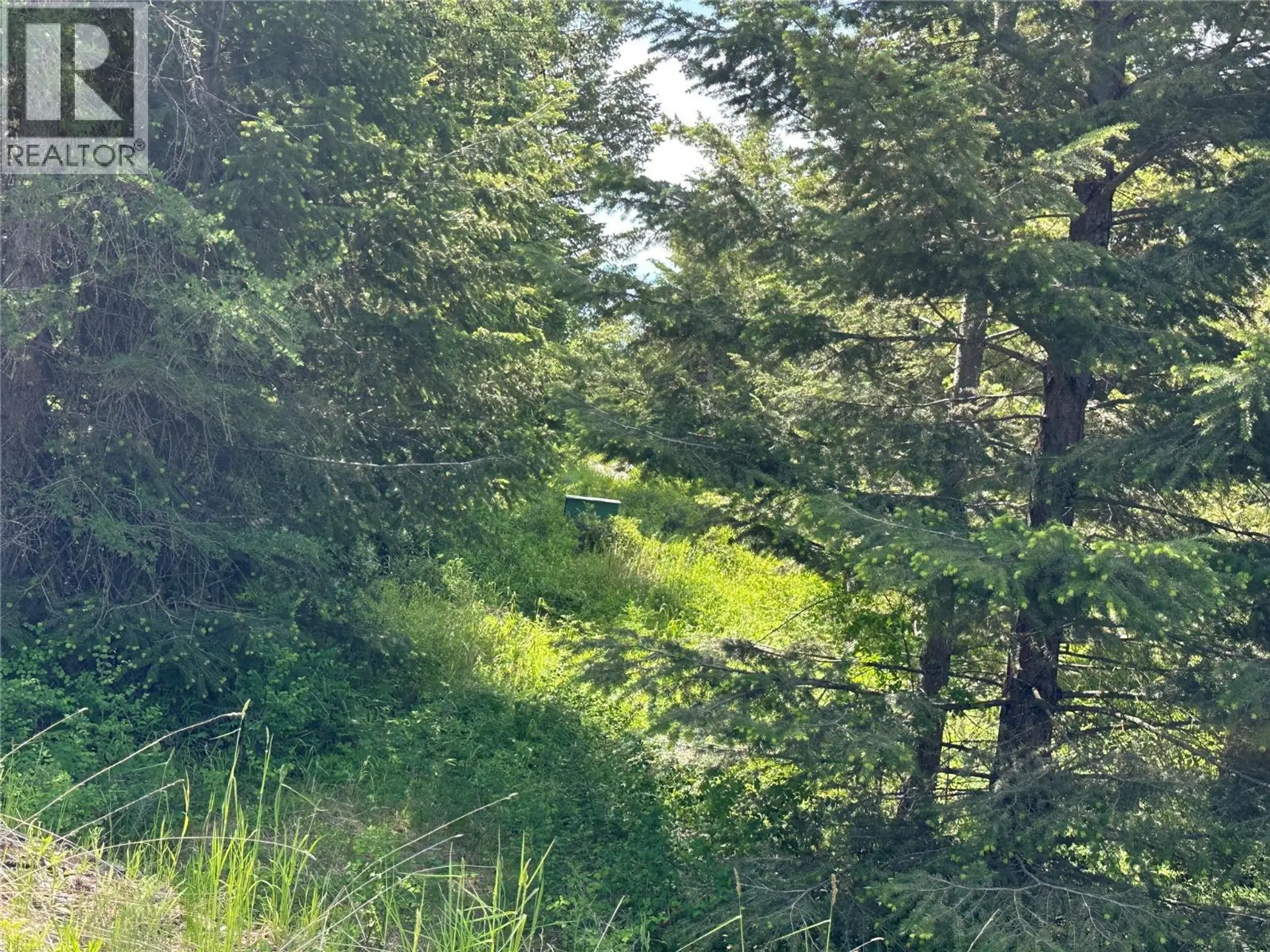 Property at 1333 TIMBERWOLF TRAIL, Bridesville, BC