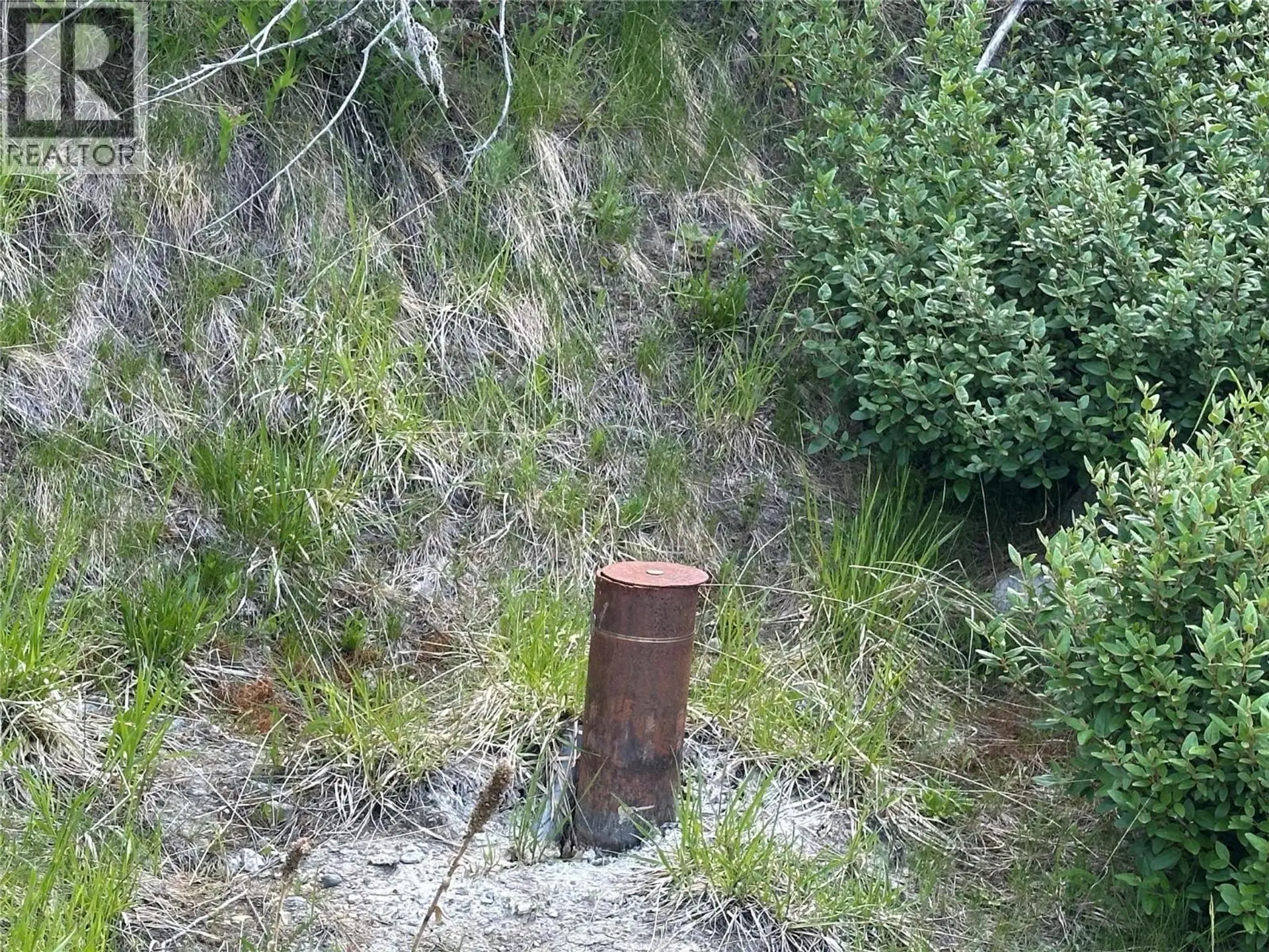 Property at 1333 TIMBERWOLF TRAIL, Bridesville, BC