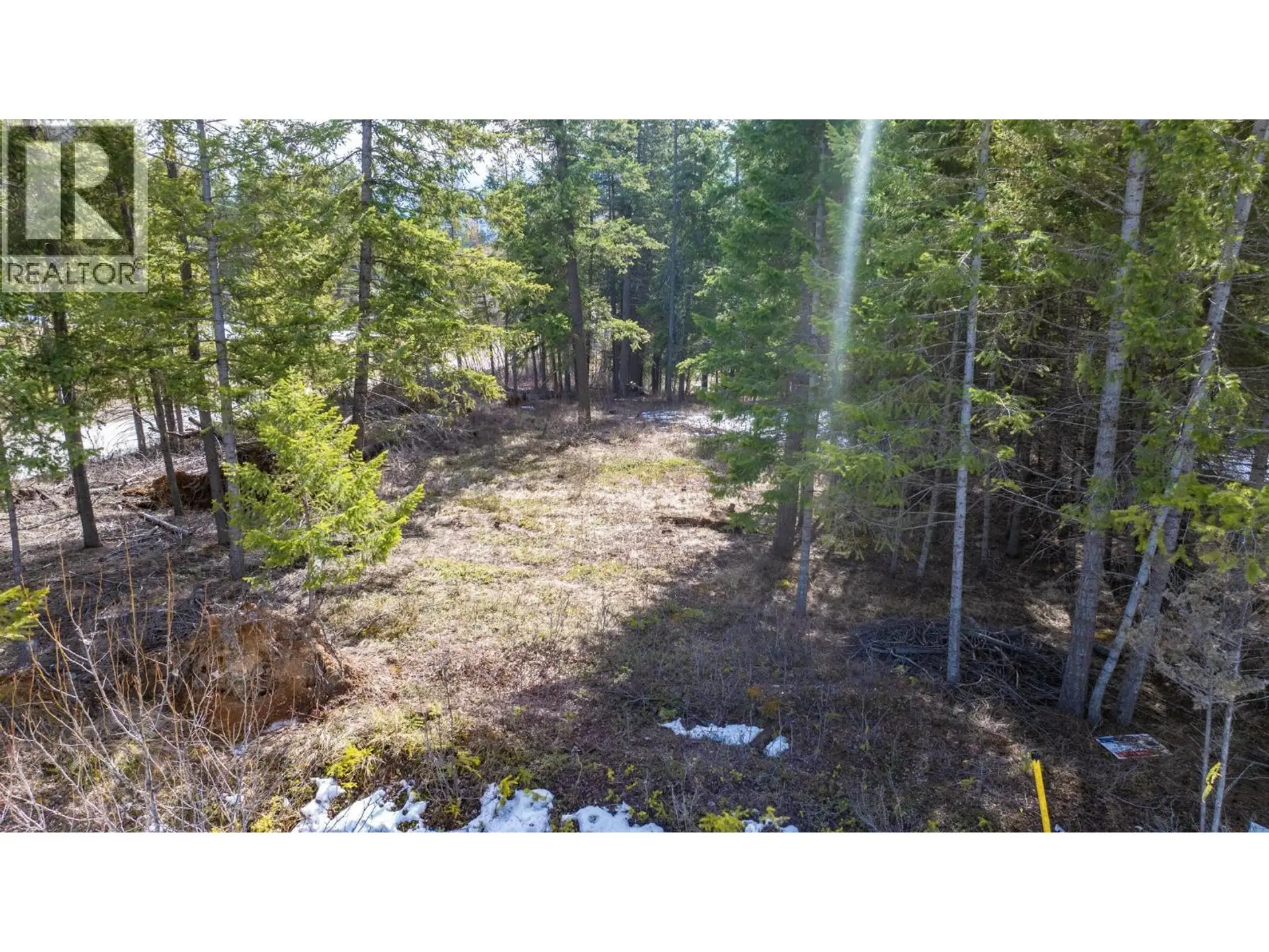 Property at 1400 PINE DRIVE, Golden, BC