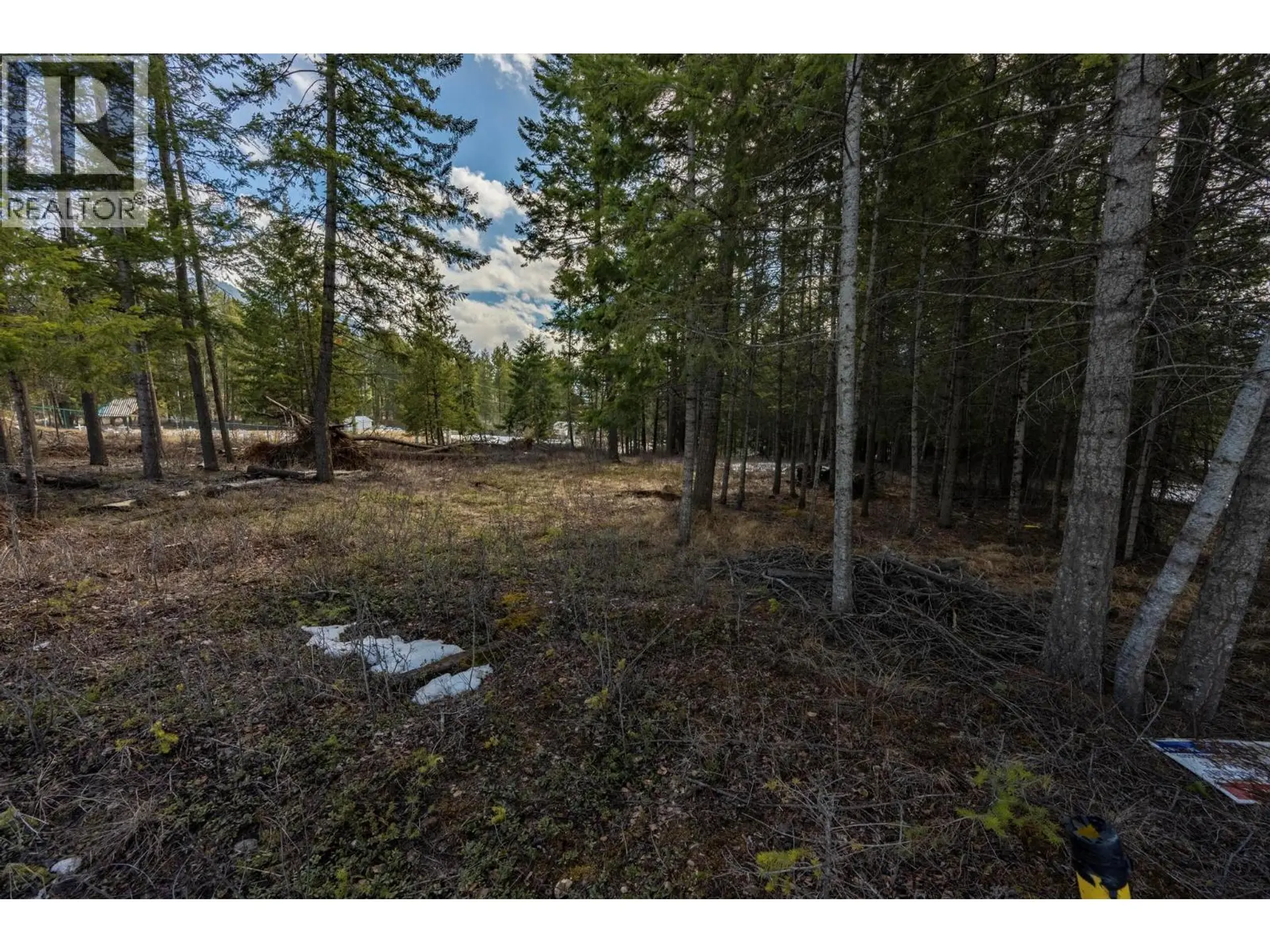 Property at 1400 PINE DRIVE, Golden, BC