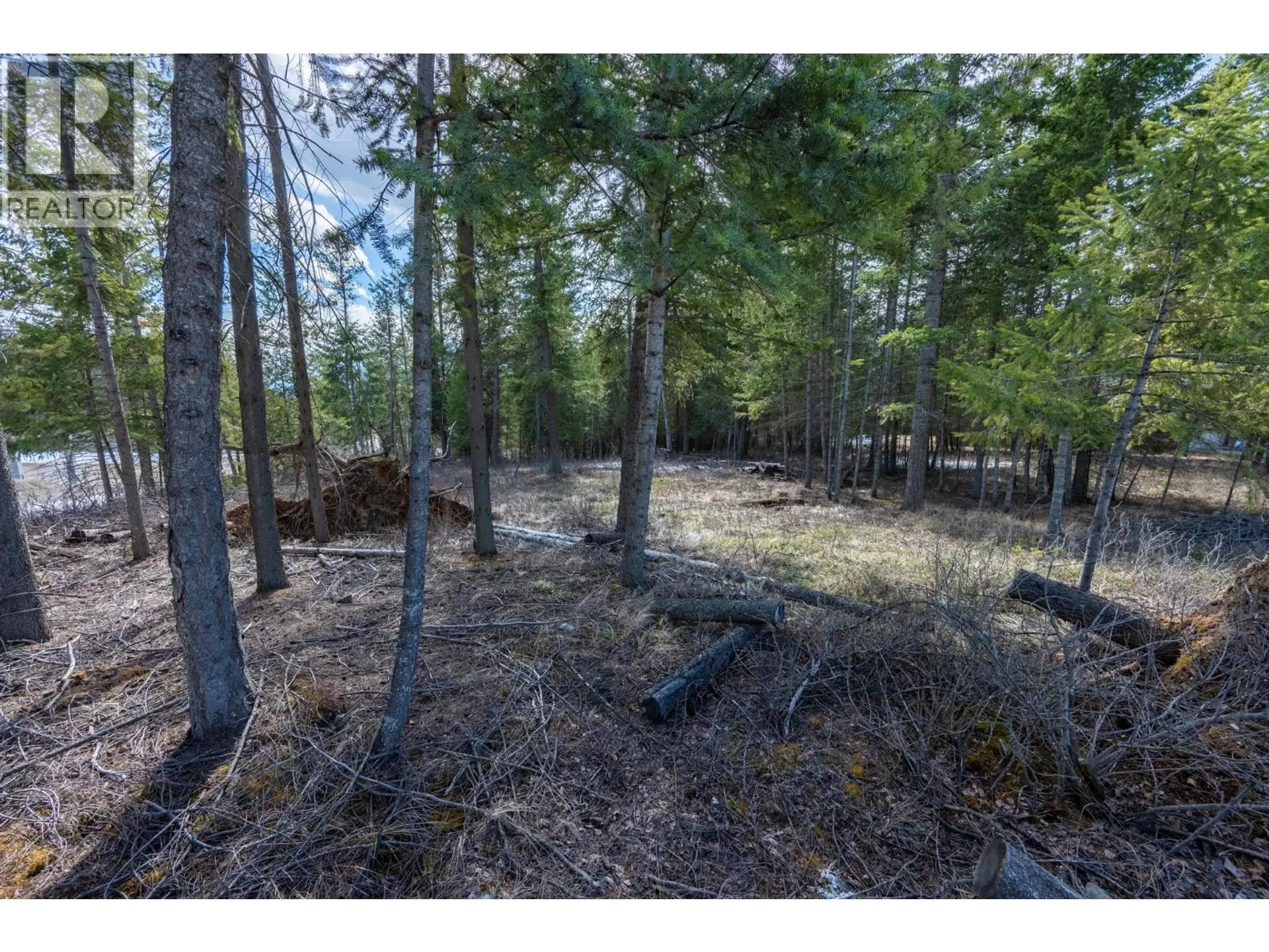 Property at 1400 PINE DRIVE, Golden, BC