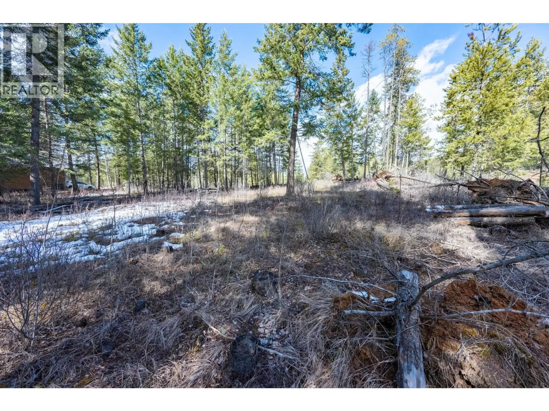 Property at 1400 PINE DRIVE, Golden, BC