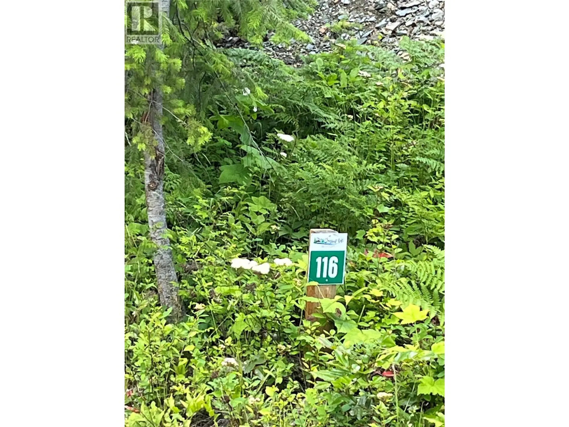 Property at 5363 SQUILAX-ANGLEMONT ROAD LOT# 116, Celista, BC