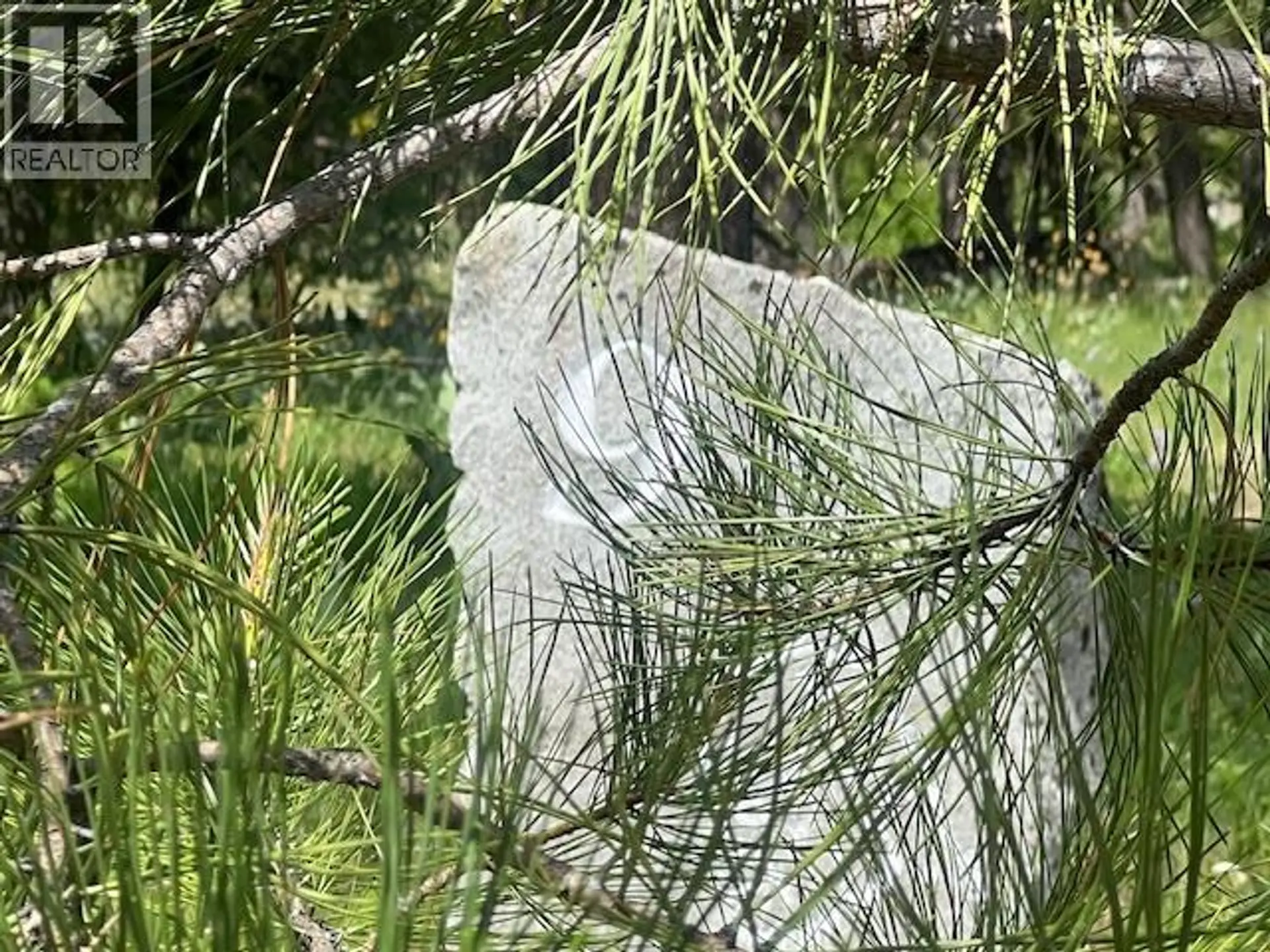 Property at 240 SASQUATCH TRAIL LOT# 9, Osoyoos, BC