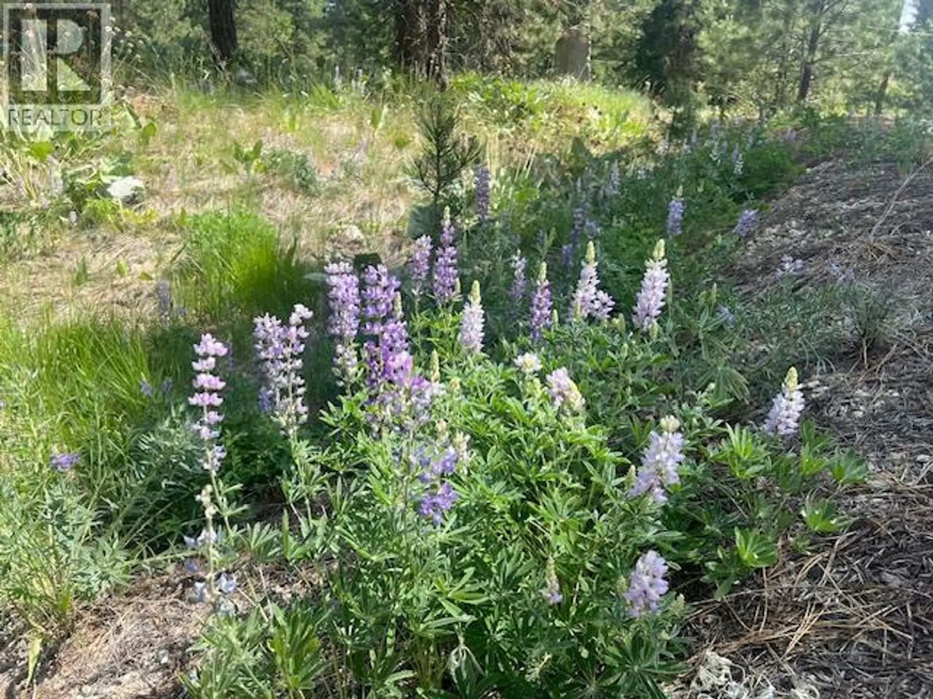 Property at 240 SASQUATCH TRAIL LOT# 9, Osoyoos, BC