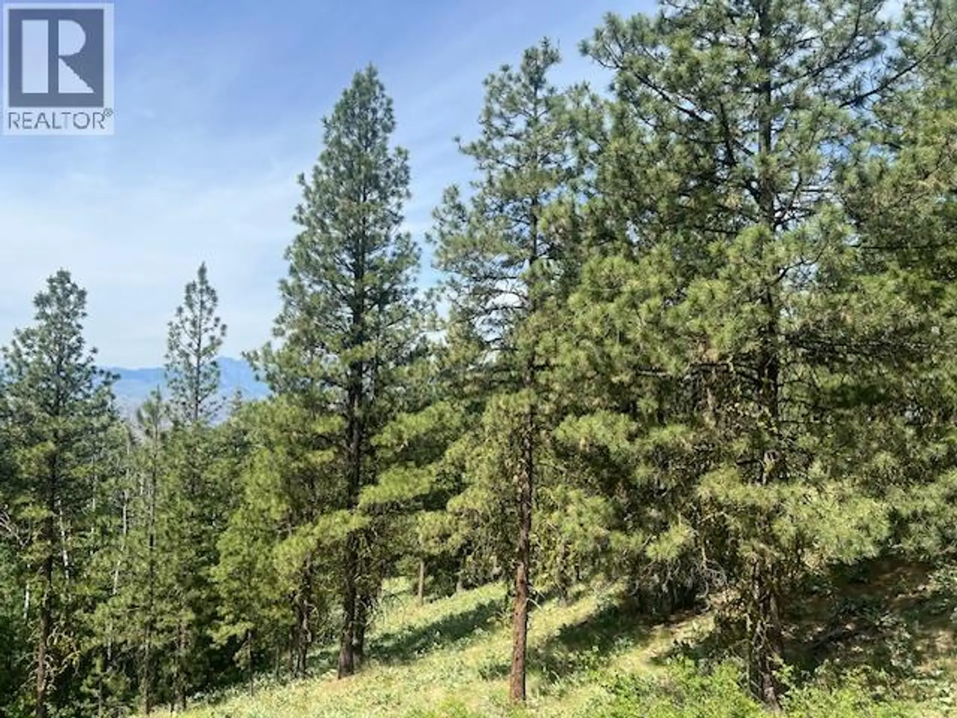 Property at 240 SASQUATCH TRAIL LOT# 9, Osoyoos, BC