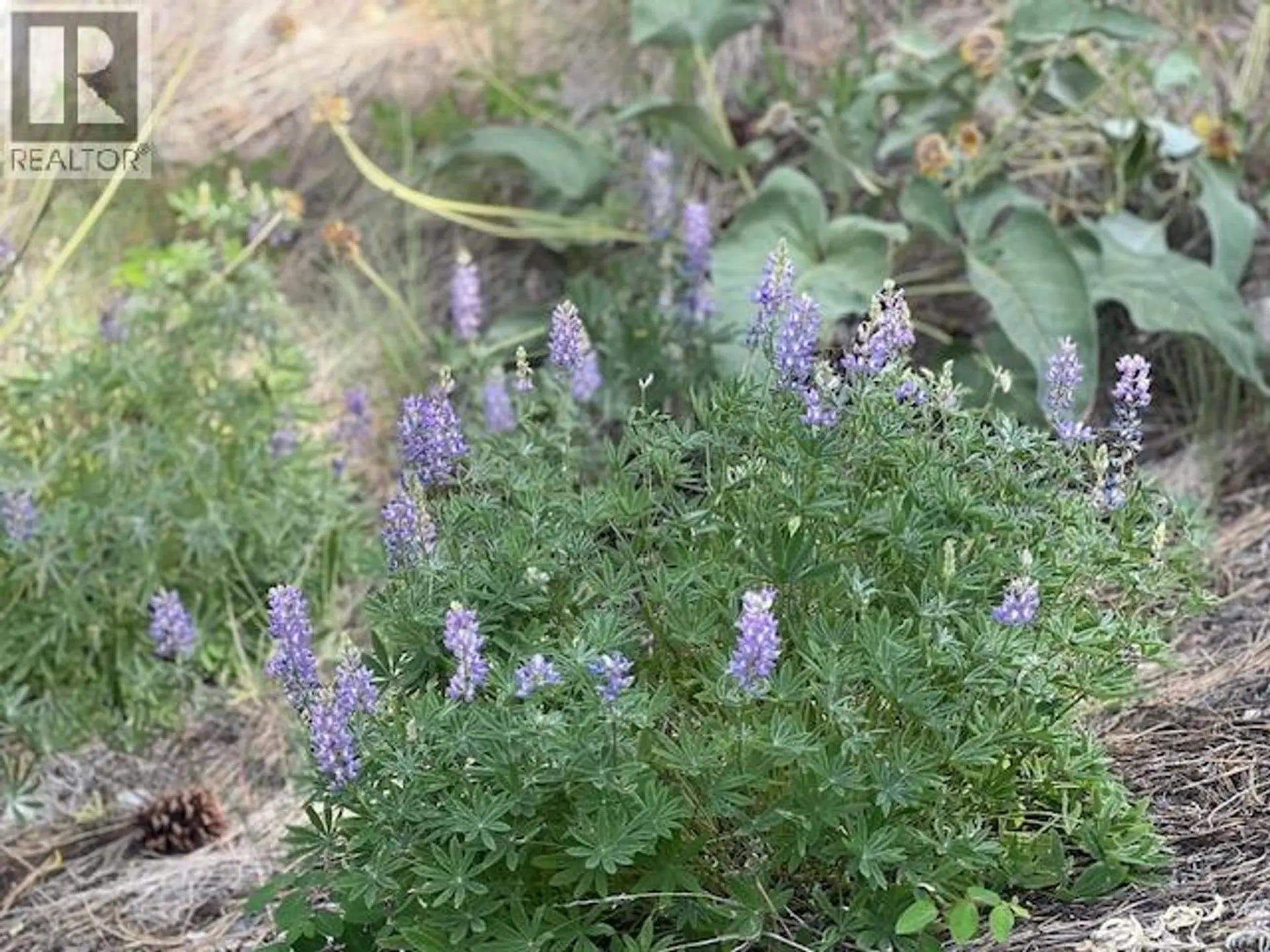 Property at 240 SASQUATCH TRAIL LOT# 9, Osoyoos, BC