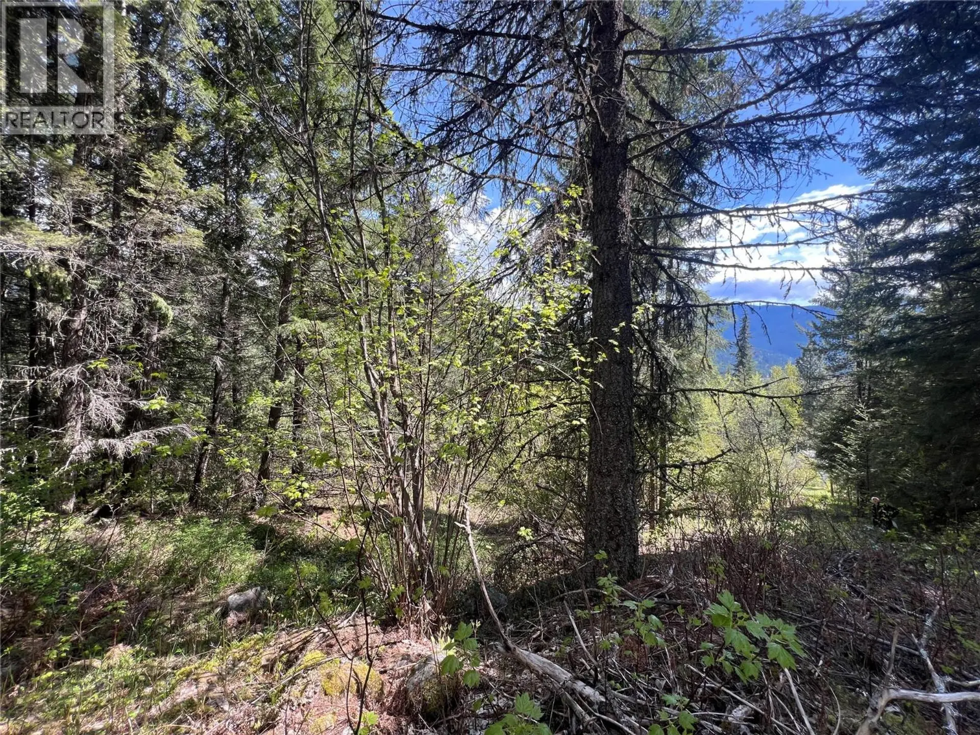 Property at LOT 2 LOIS LANE, Winlaw, BC