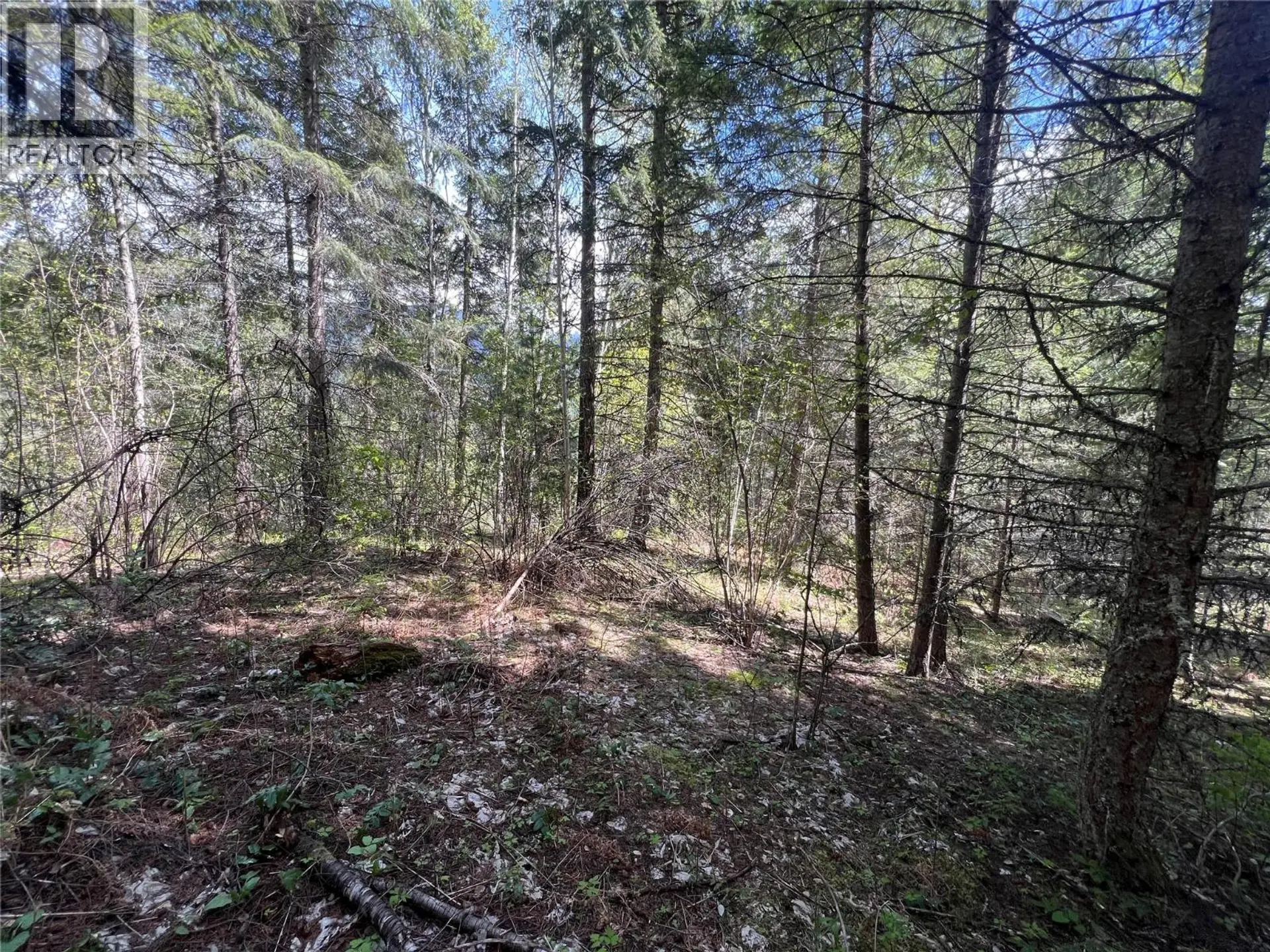 Property at LOT 2 LOIS LANE, Winlaw, BC