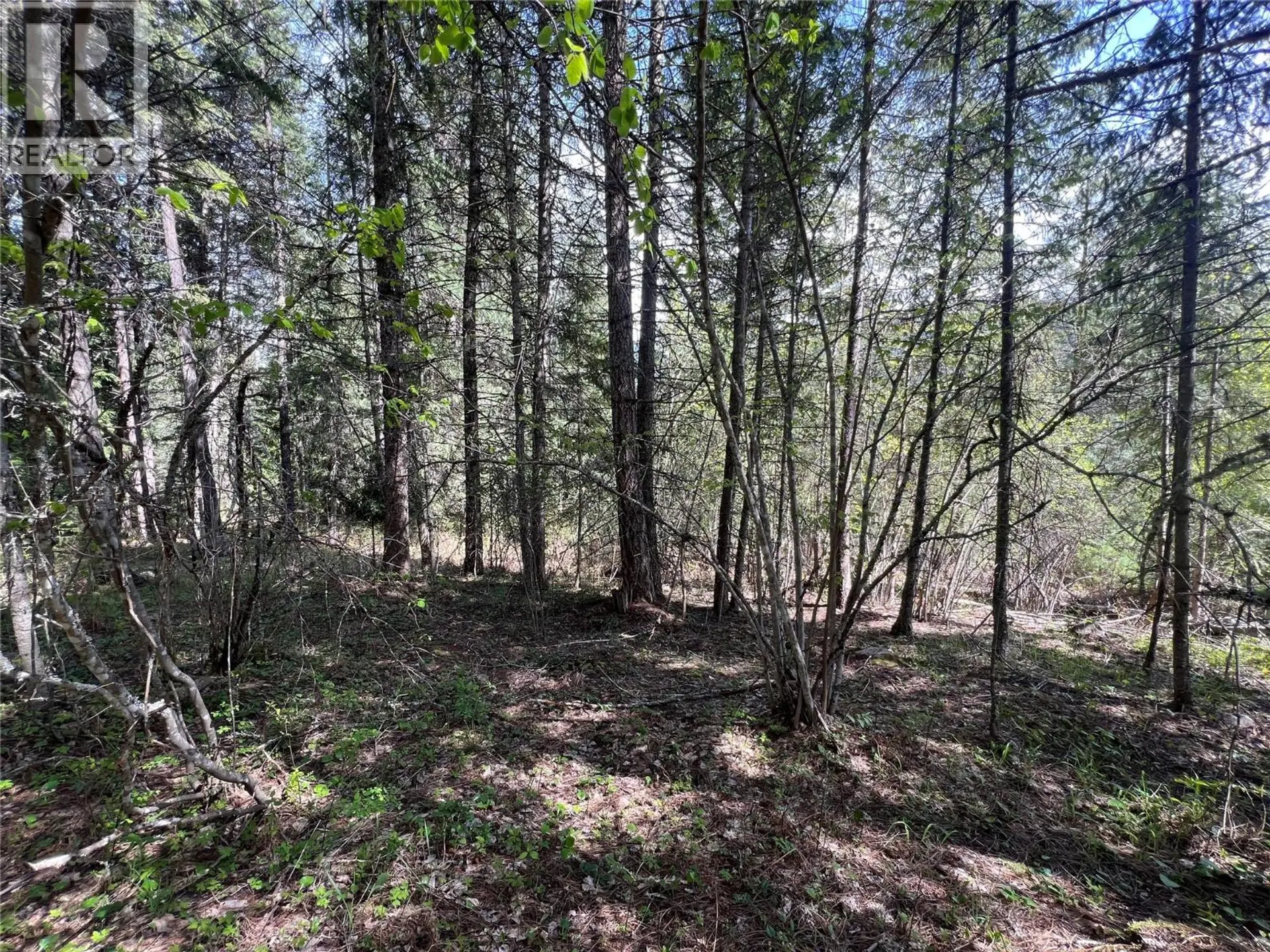 Property at LOT 2 LOIS LANE, Winlaw, BC