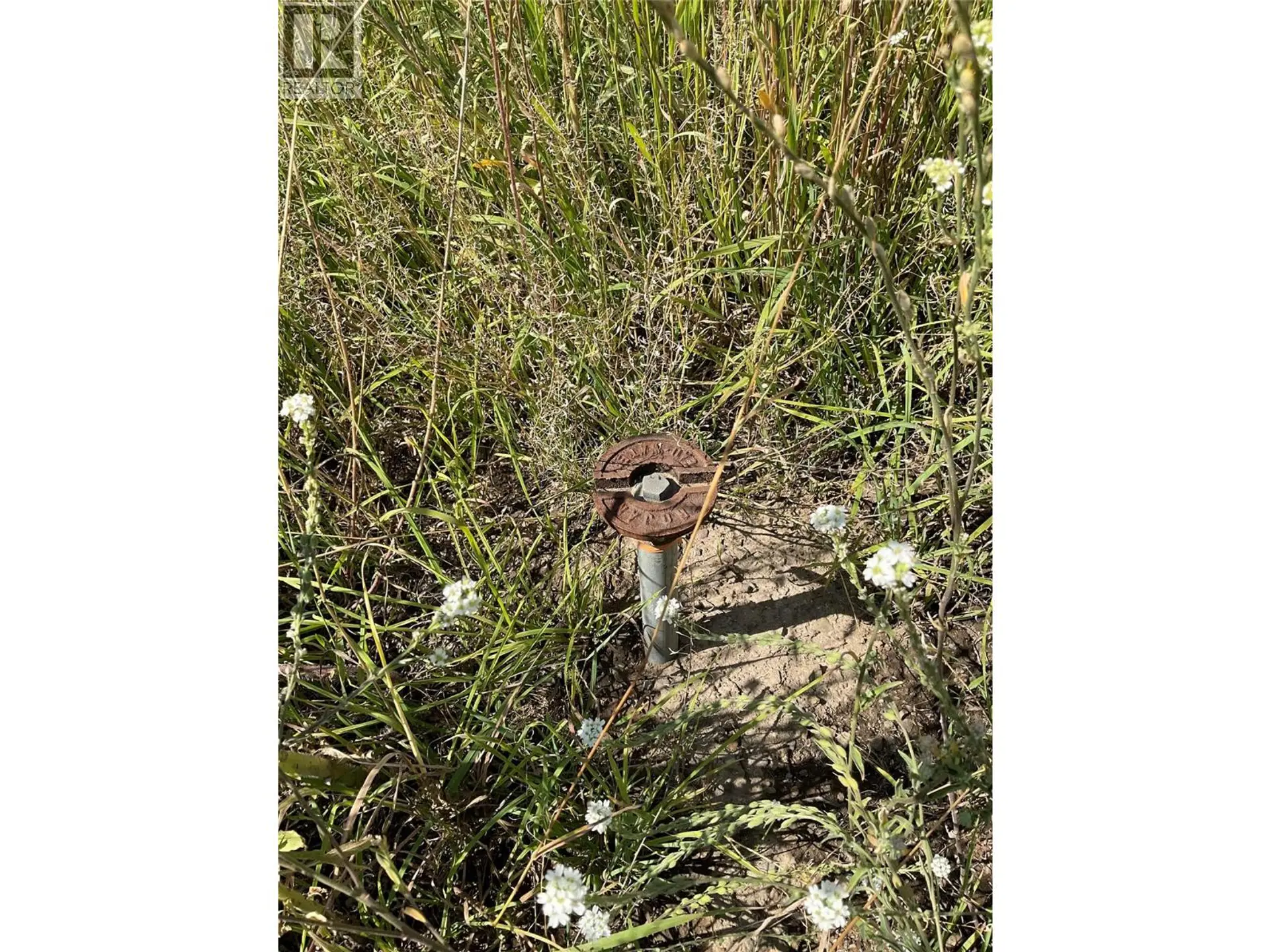 Property at 420 NINTH AVENUE, Midway, BC