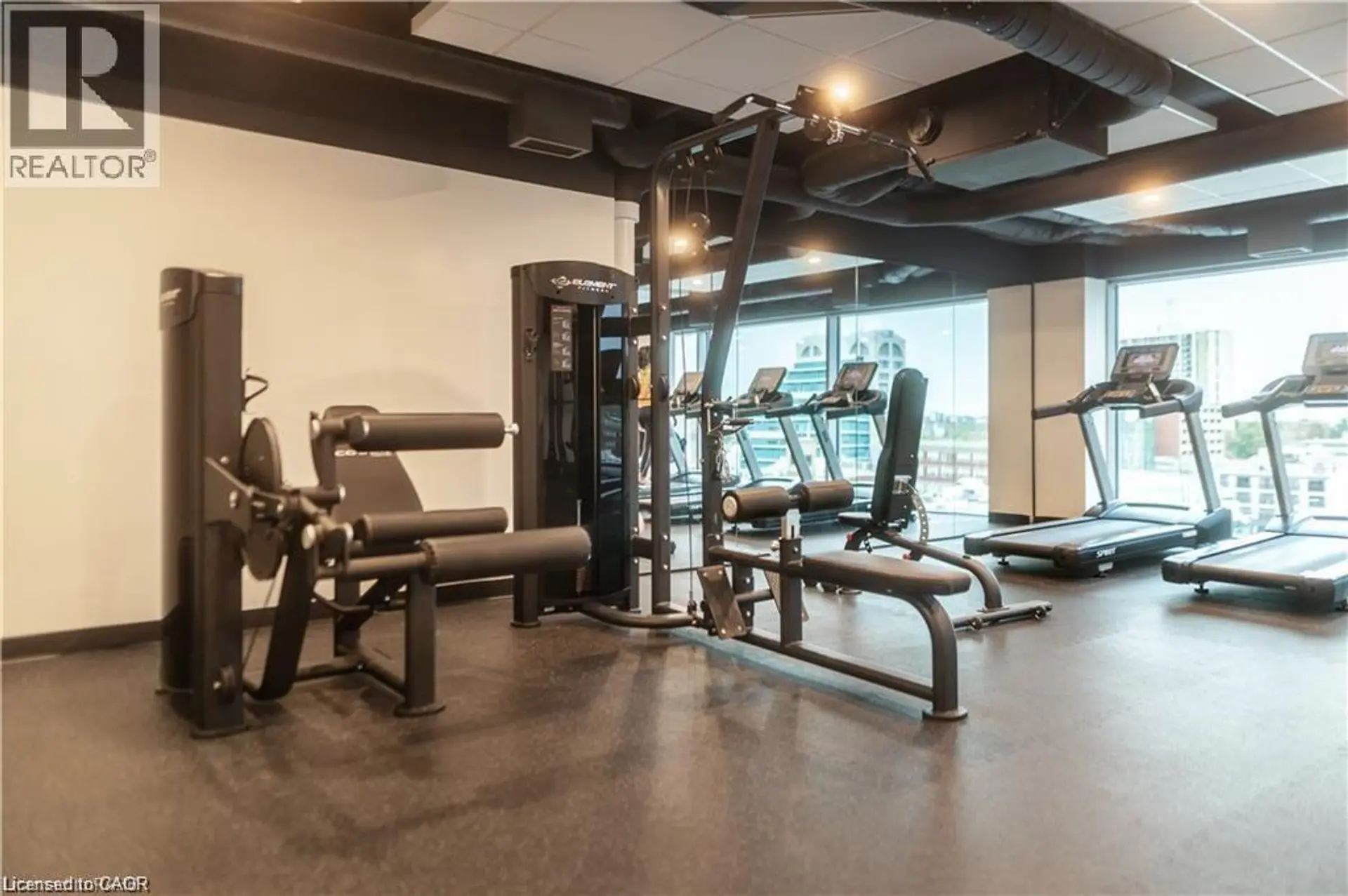 #1008 60 FREDERICK Street - Image 14
