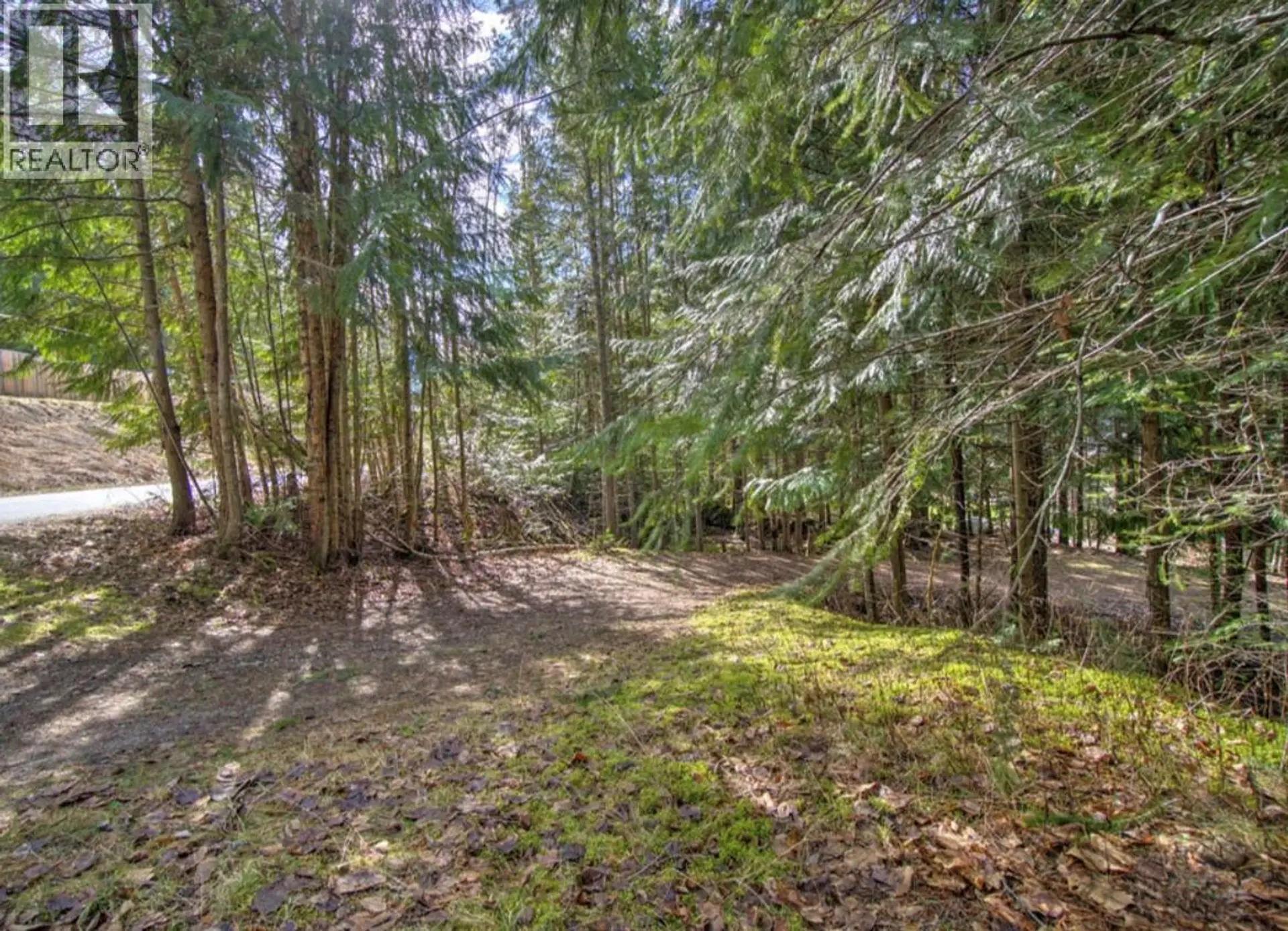 Property at LOT 9 BAYVIEW ROAD, Nakusp, BC