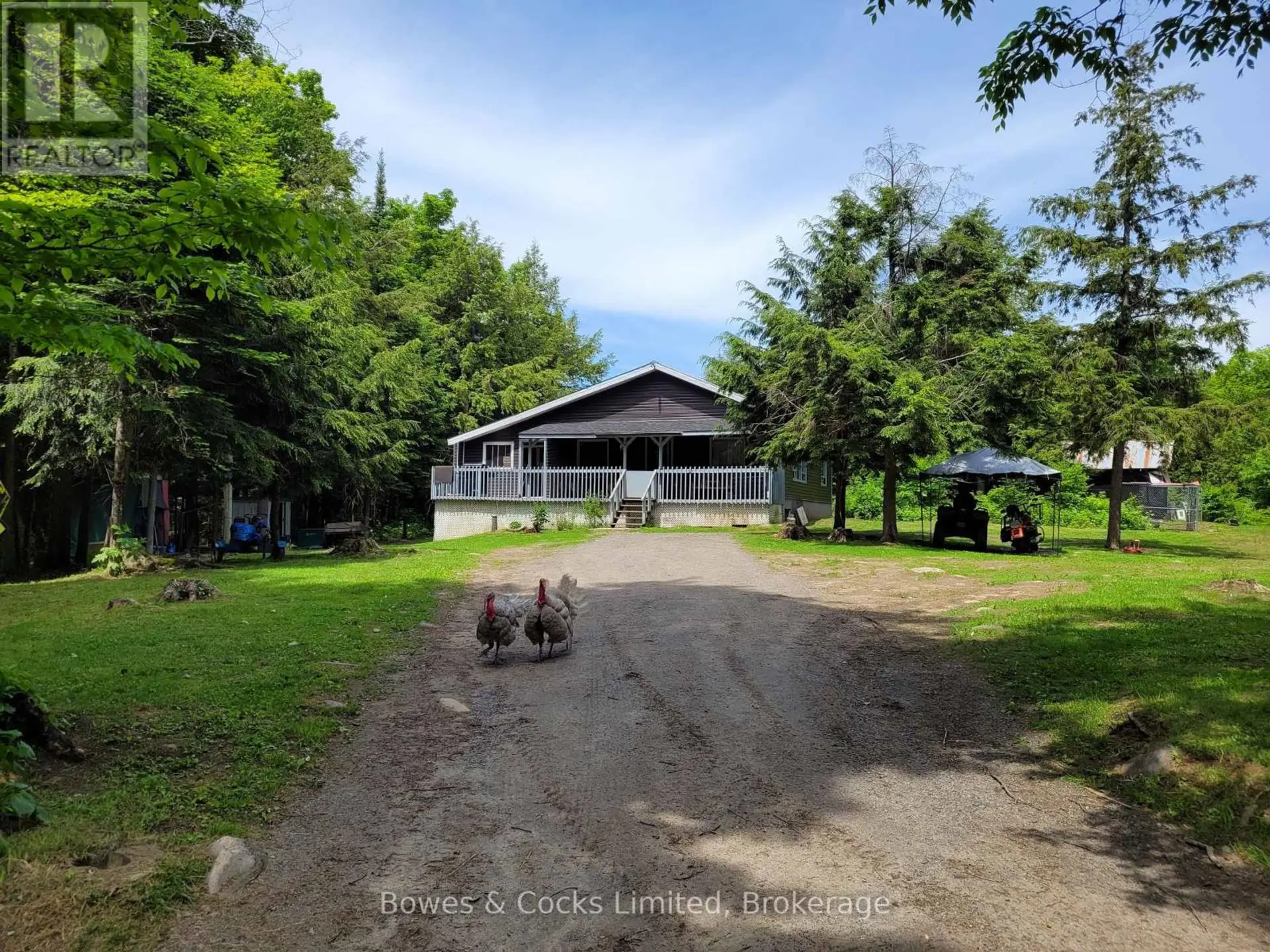 246 HICKEY TRAIL - Image 1