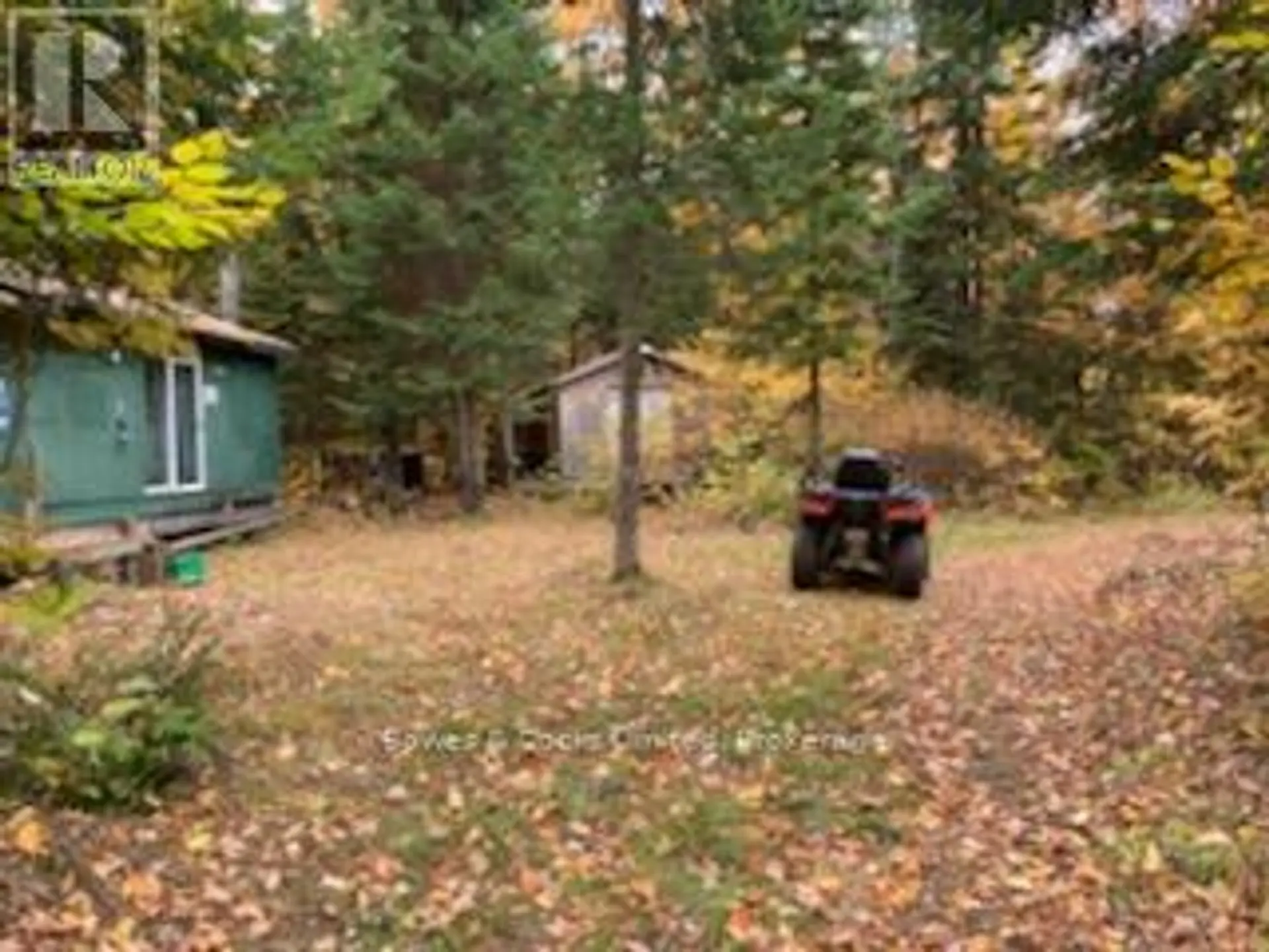246 HICKEY TRAIL - Image 13