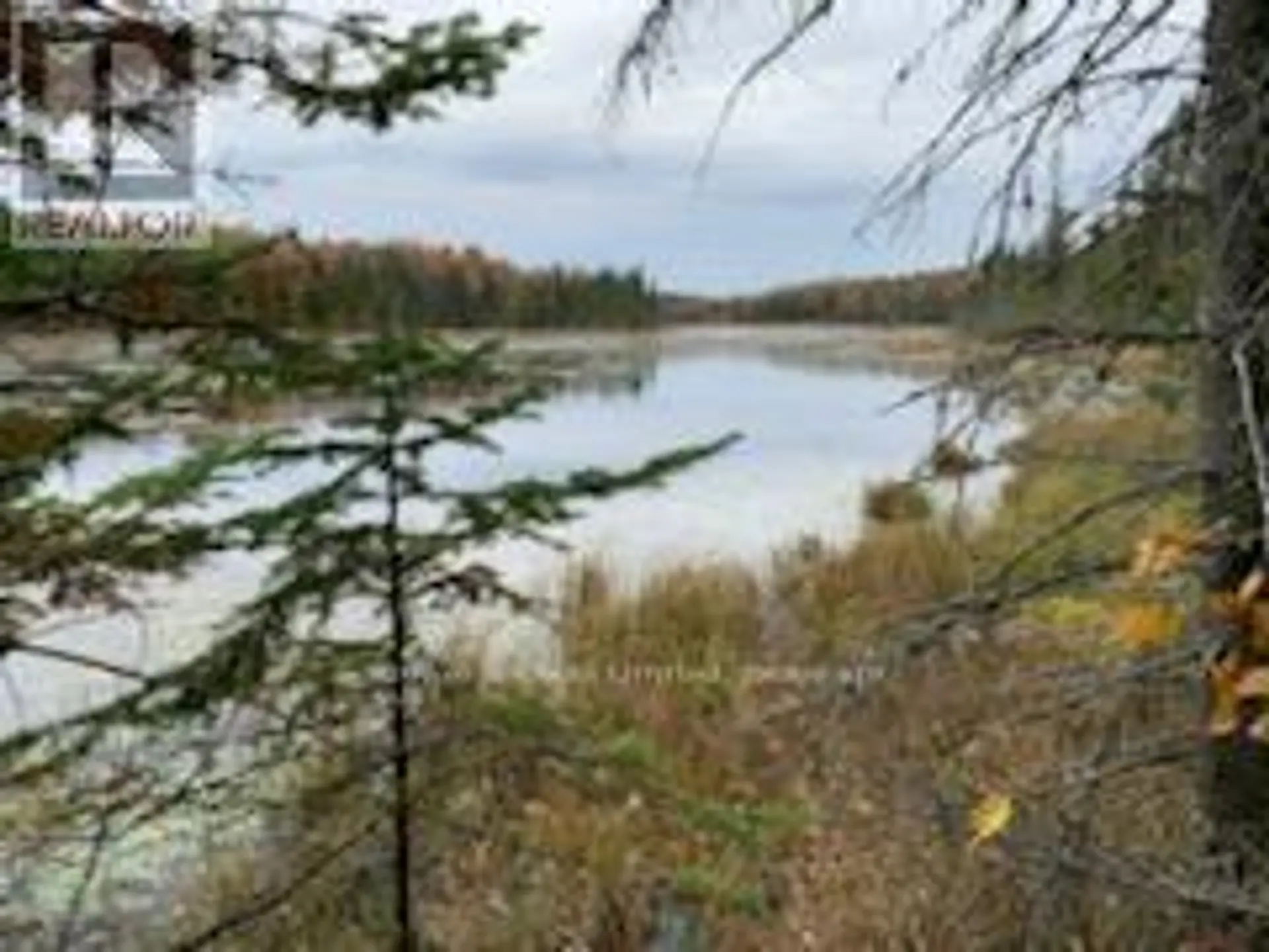 246 HICKEY TRAIL - Image 14